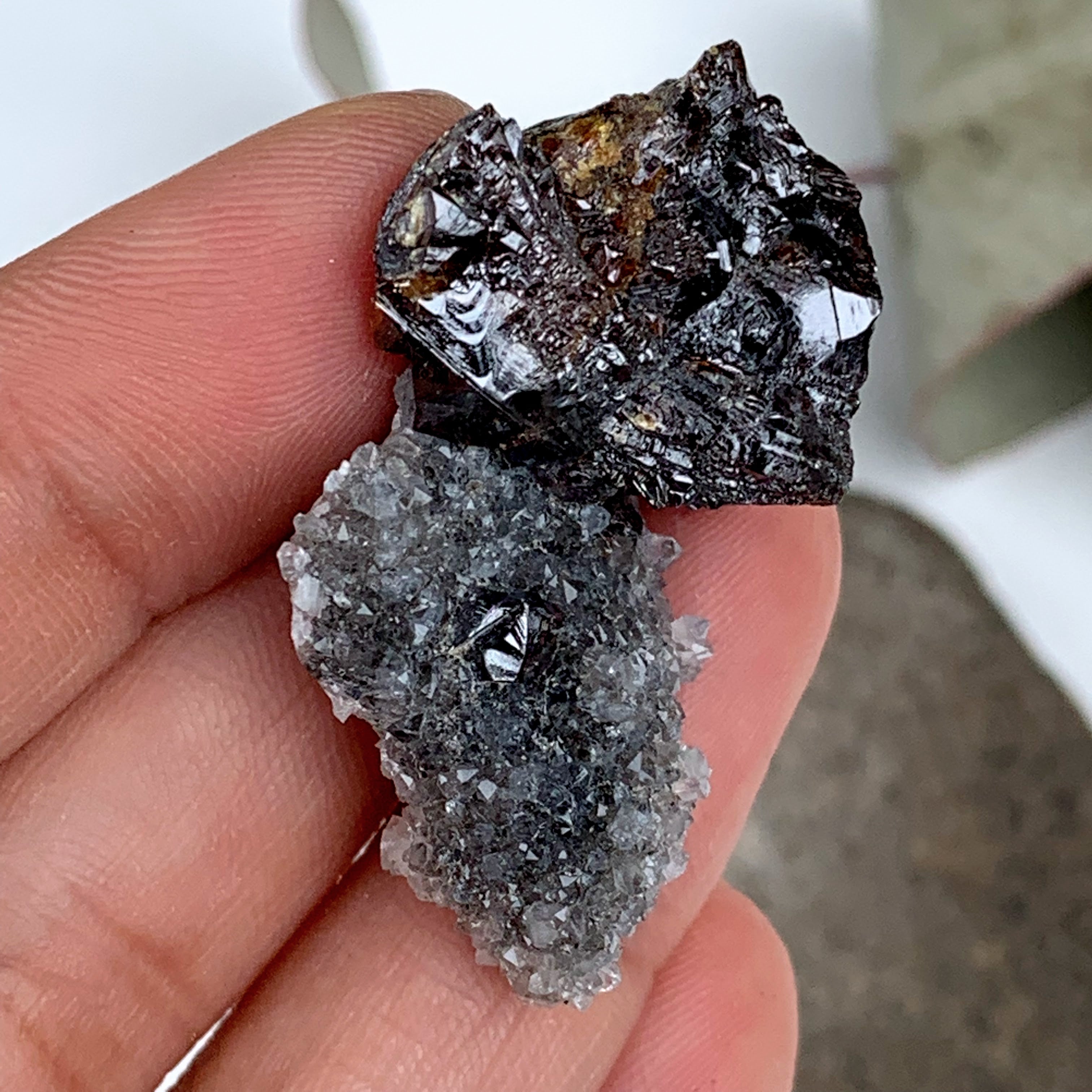 Elmwood Mine Deep Burgundy Sphalerite & Druzy Quartz Small Specimen - Earth Family Crystals