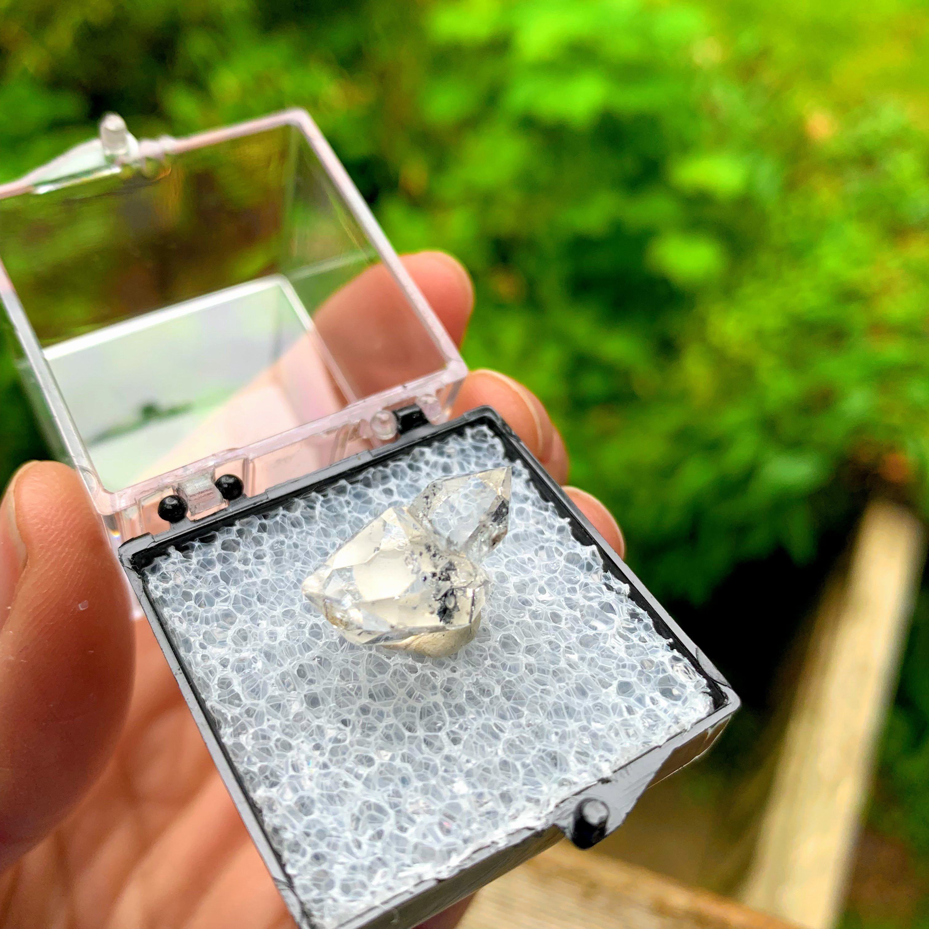Brilliant Clarity New York Herkimer Diamond Quartz Specimen in Collectors Box #5 - Earth Family Crystals