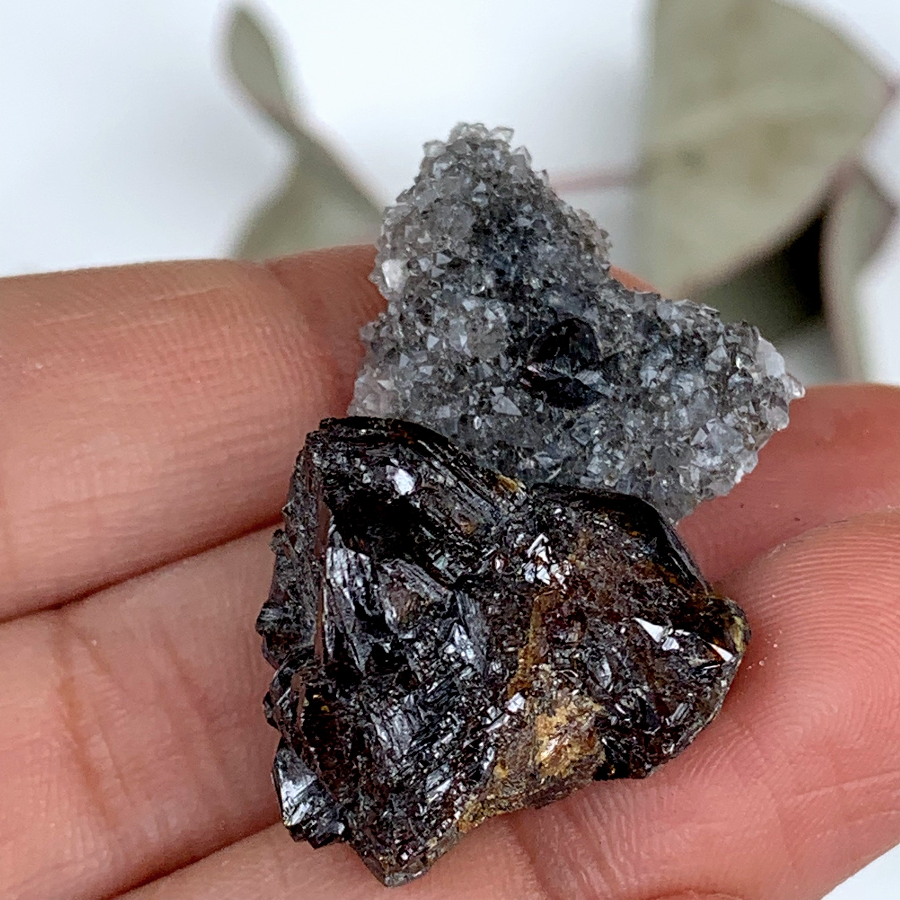 Elmwood Mine Deep Burgundy Sphalerite & Druzy Quartz Small Specimen - Earth Family Crystals