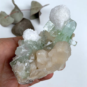 Rare Creamy White Mordenite on Large Green Apophyllite & Stilbite Matrix From India - Earth Family Crystals