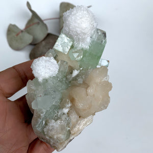 Rare Creamy White Mordenite on Large Green Apophyllite & Stilbite Matrix From India - Earth Family Crystals