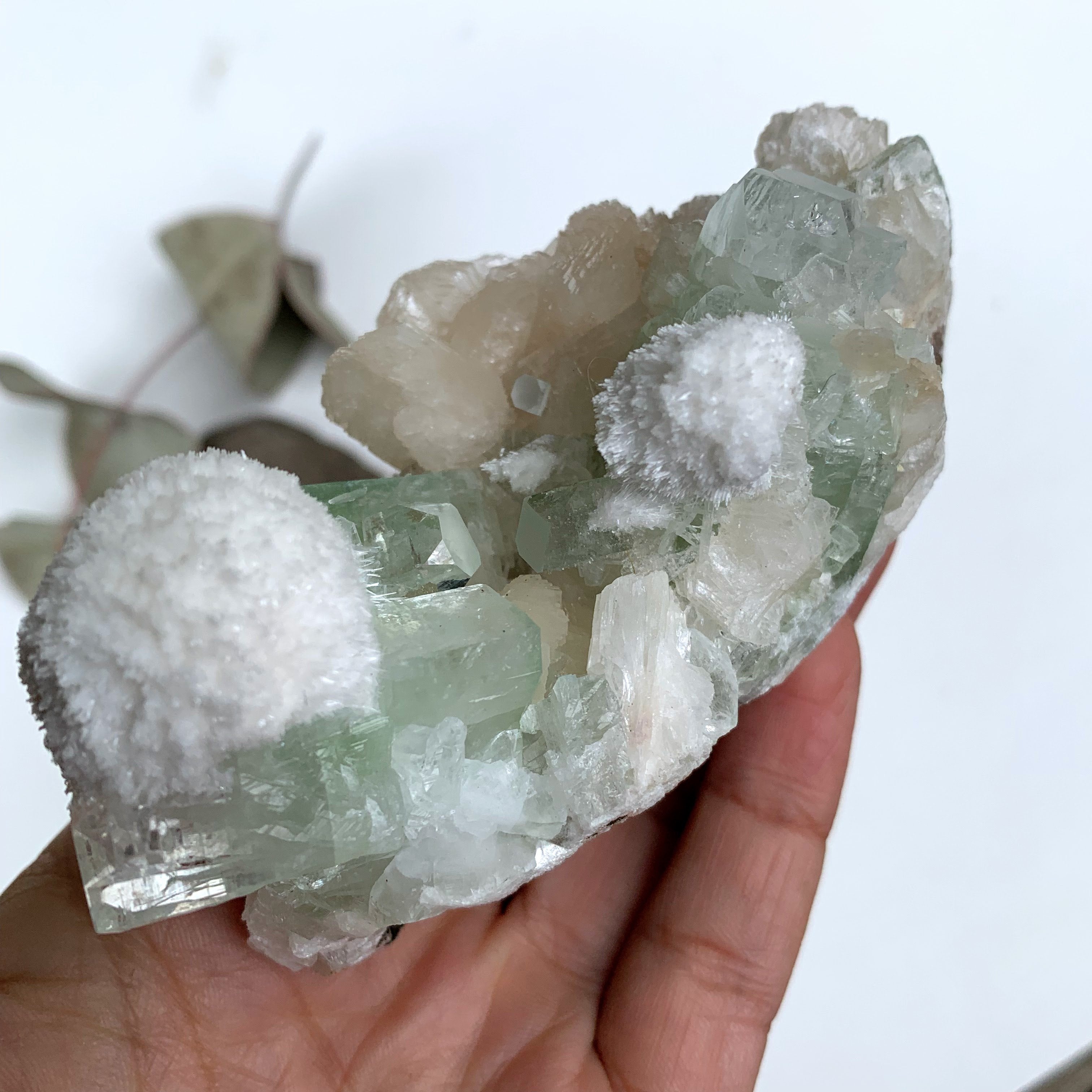 Rare Creamy White Mordenite on Large Green Apophyllite & Stilbite Matrix From India - Earth Family Crystals