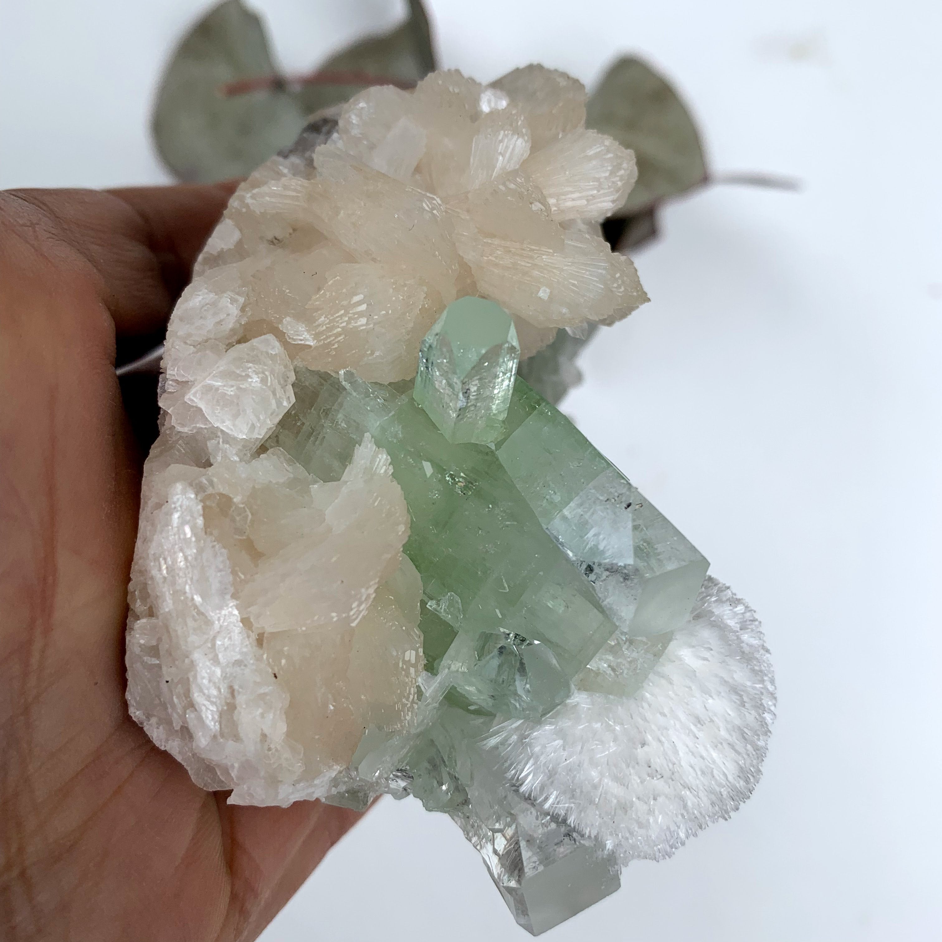 Rare Creamy White Mordenite on Large Green Apophyllite & Stilbite Matrix From India - Earth Family Crystals