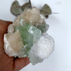 Rare Creamy White Mordenite on Large Green Apophyllite & Stilbite Matrix From India - Earth Family Crystals