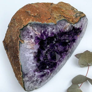 XXL Deep Purple Amethyst Geode Display Specimen From Uruguay - Earth Family Crystals