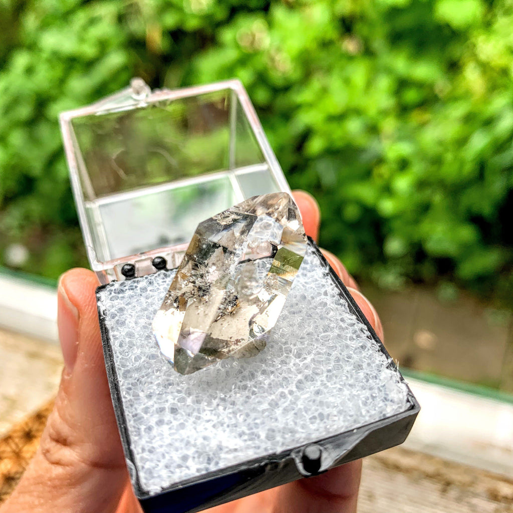 Brilliant Clarity New York Herkimer Diamond Quartz Specimen in Collectors Box #6 - Earth Family Crystals