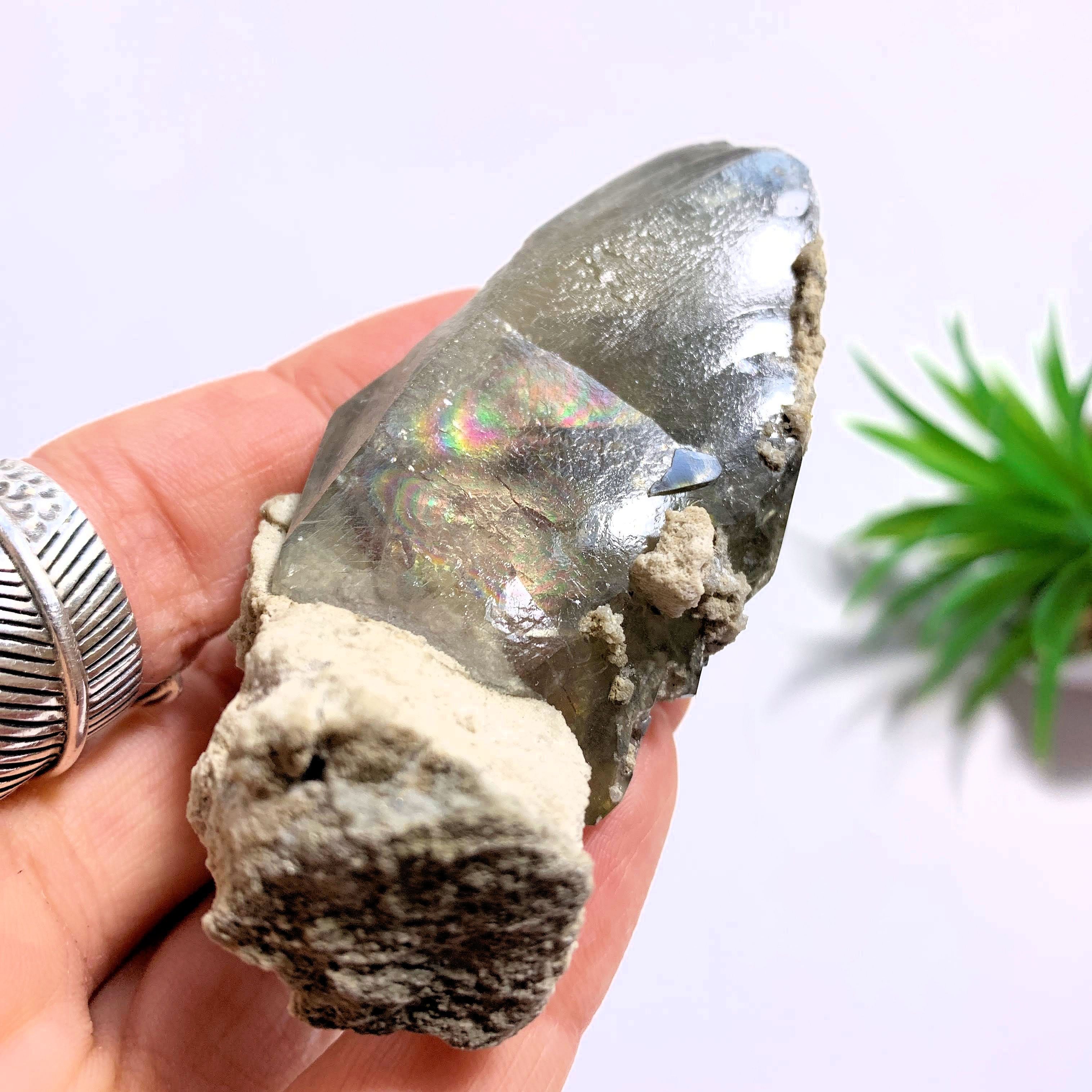 Golden Barite With Rainbows From Linwood Mine, Iowa - Earth Family Crystals