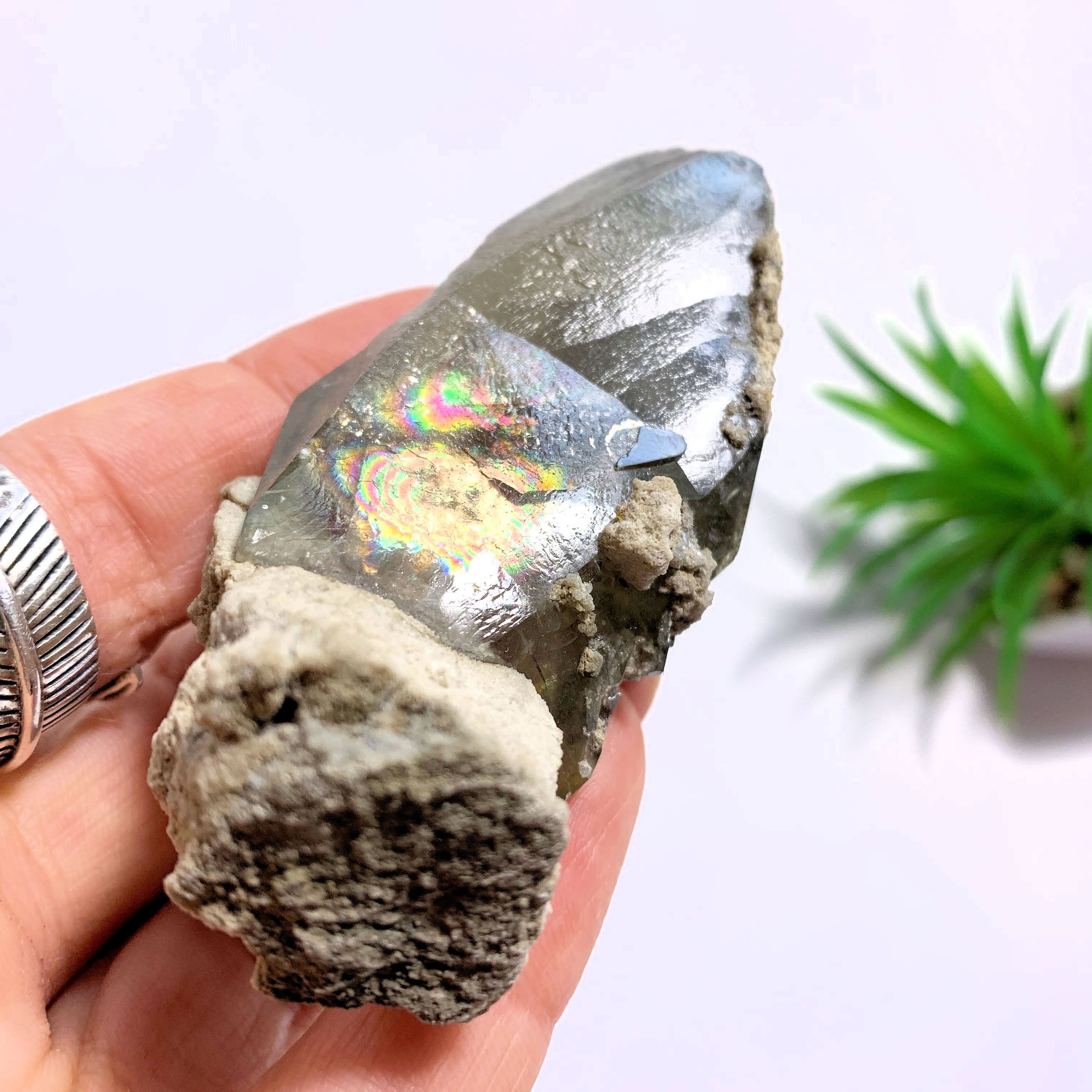 Golden Barite With Rainbows From Linwood Mine, Iowa - Earth Family Crystals