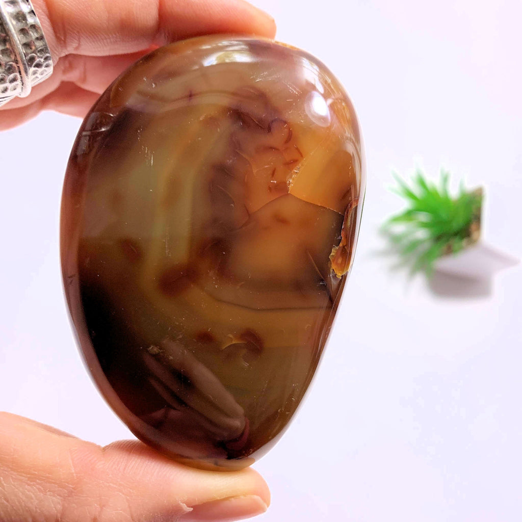 Carnelian Polished Specimen From Madagascar - Earth Family Crystals