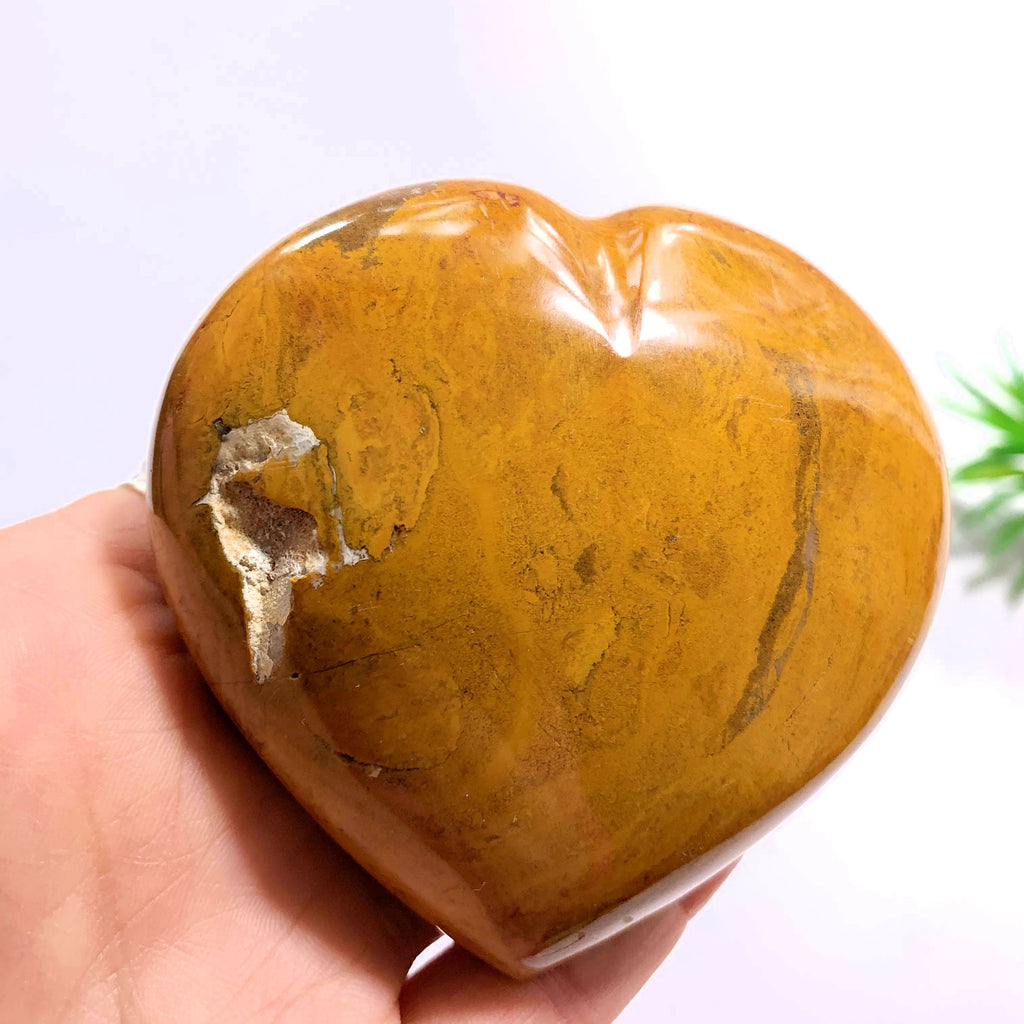 Polychrome Jasper Partially Polished Heart ~Locality Madagascar - Earth Family Crystals