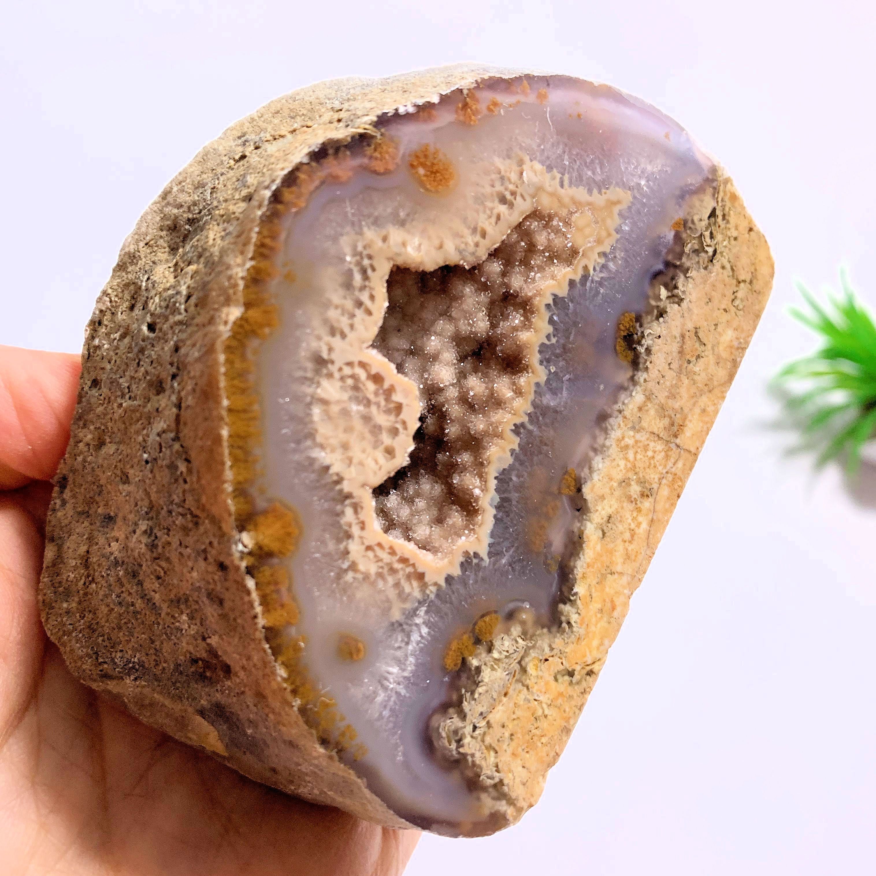 Glimmering Smoky Quartz Caves & Agate Standing Partially Polished Specimen From Brazil - Earth Family Crystals