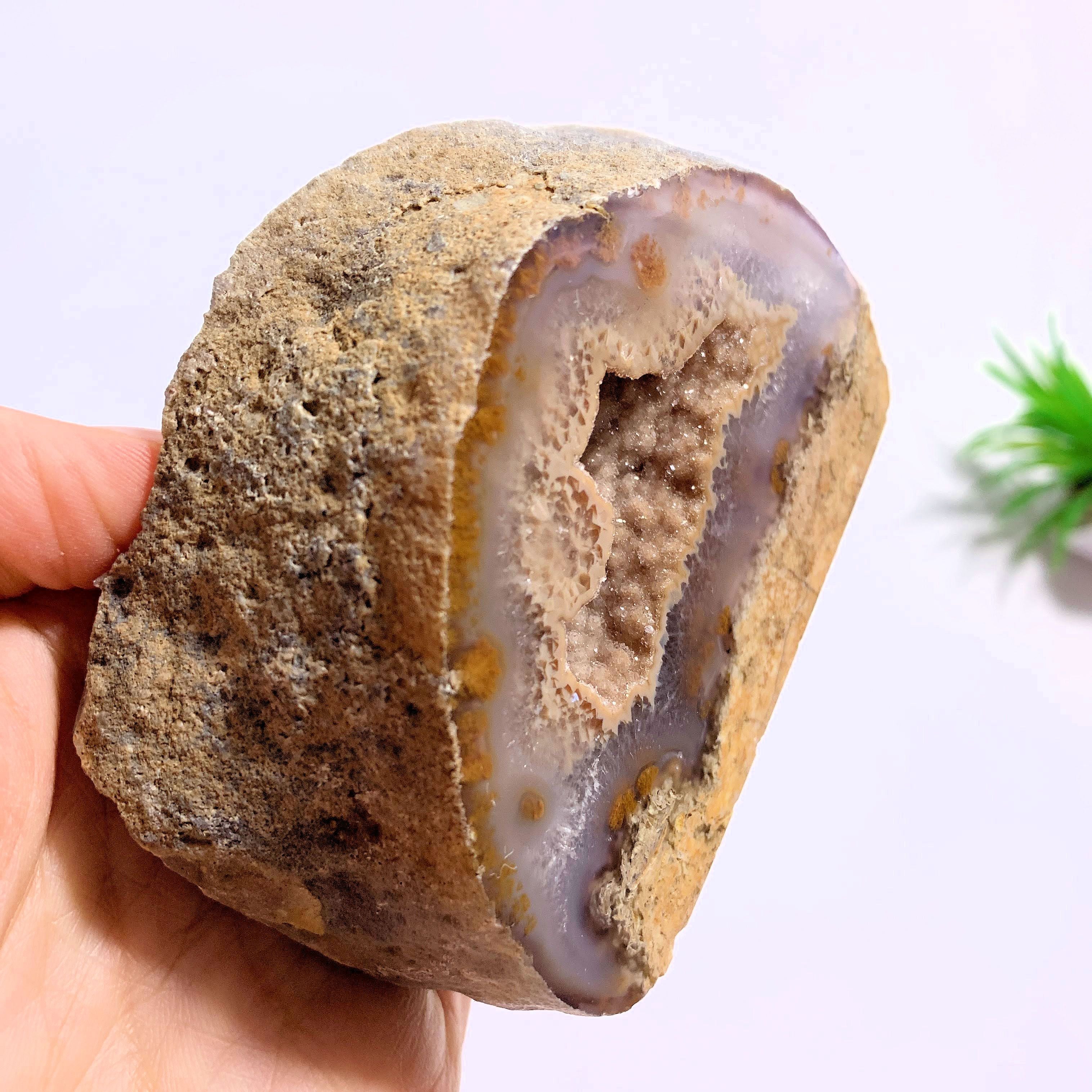 Glimmering Smoky Quartz Caves & Agate Standing Partially Polished Specimen From Brazil - Earth Family Crystals