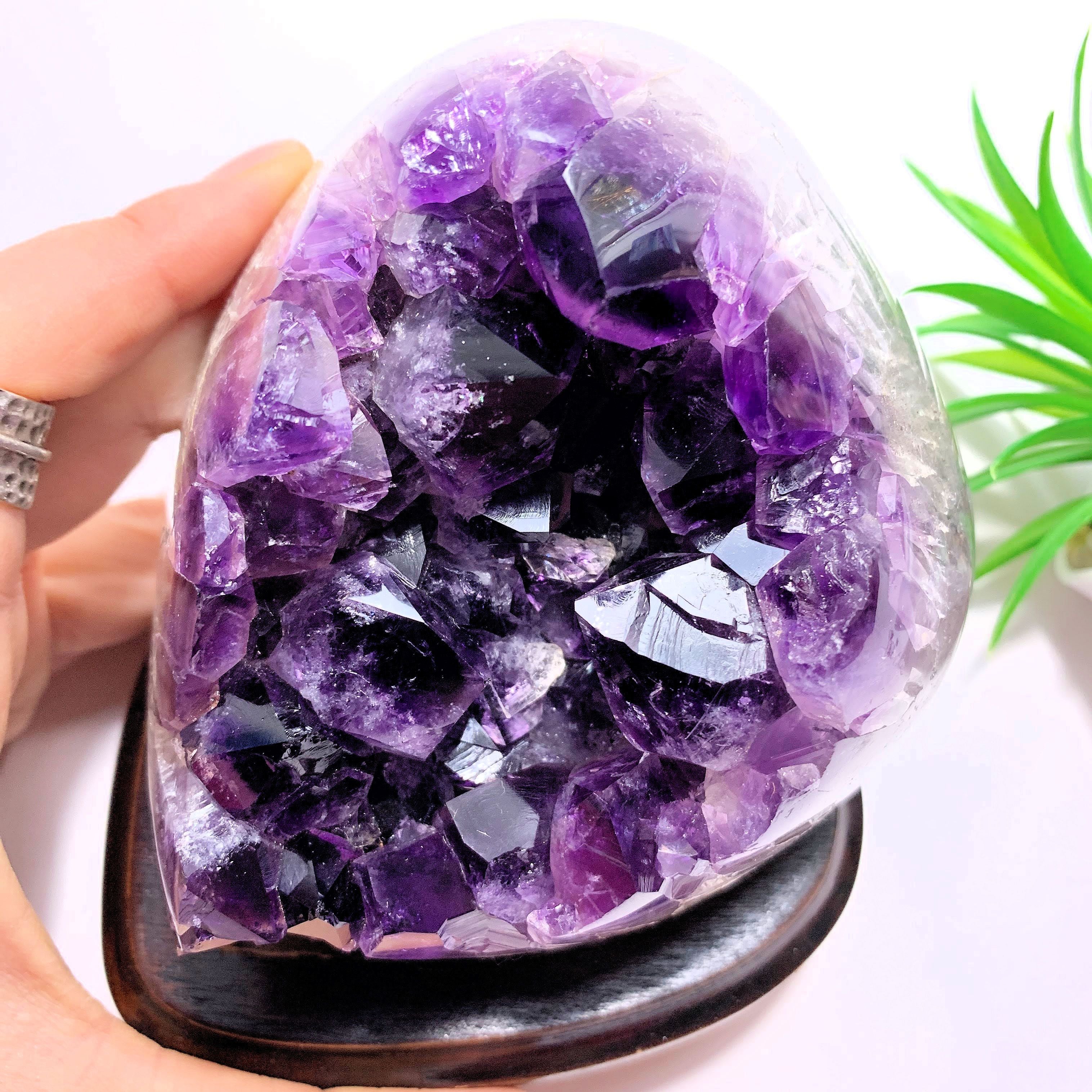 Dark Purple Amethyst Specimen on Removable Wood Display Stand From Uruguay