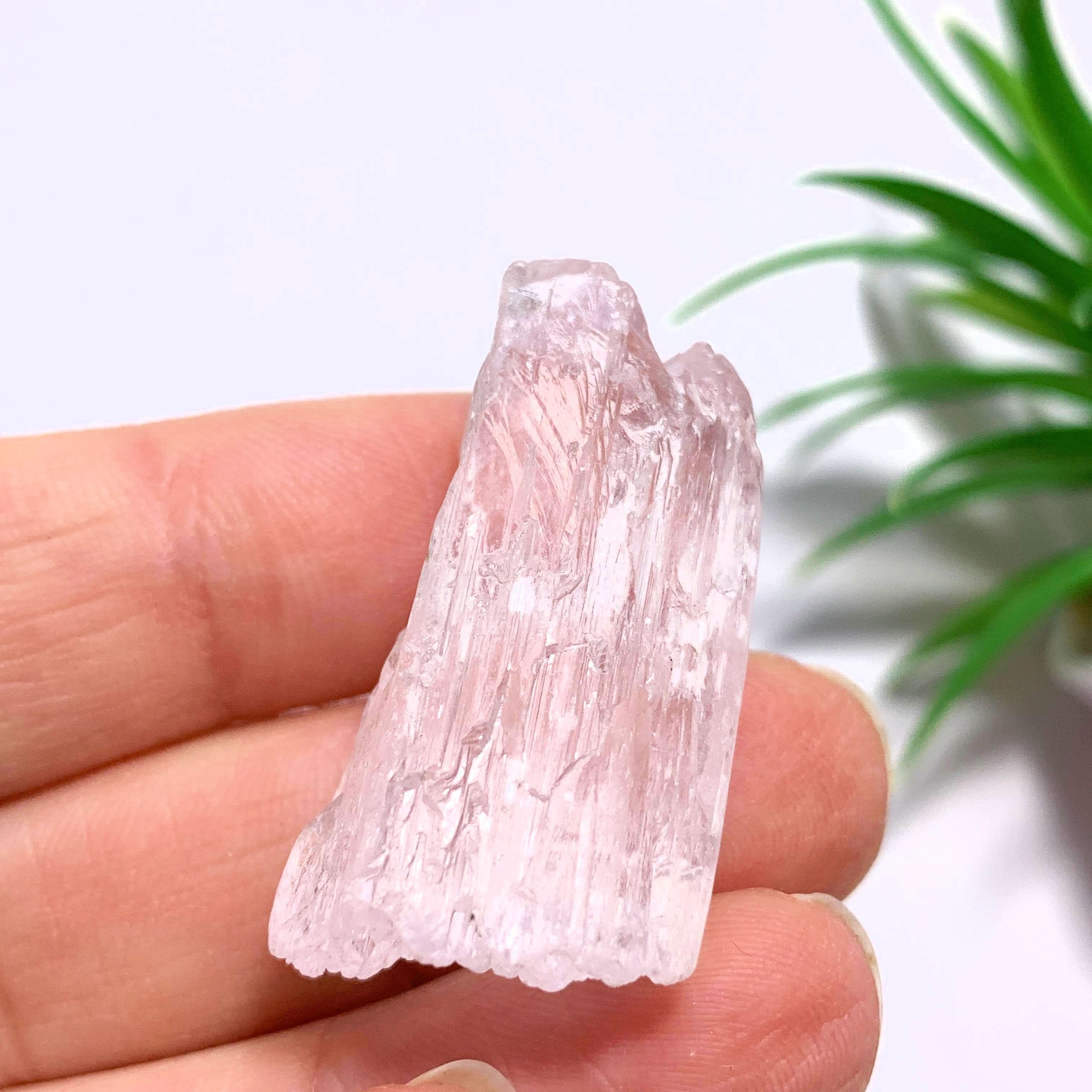 Pink Kunzite Terminated Points Specimen ~Locality Brazil - Earth Family Crystals