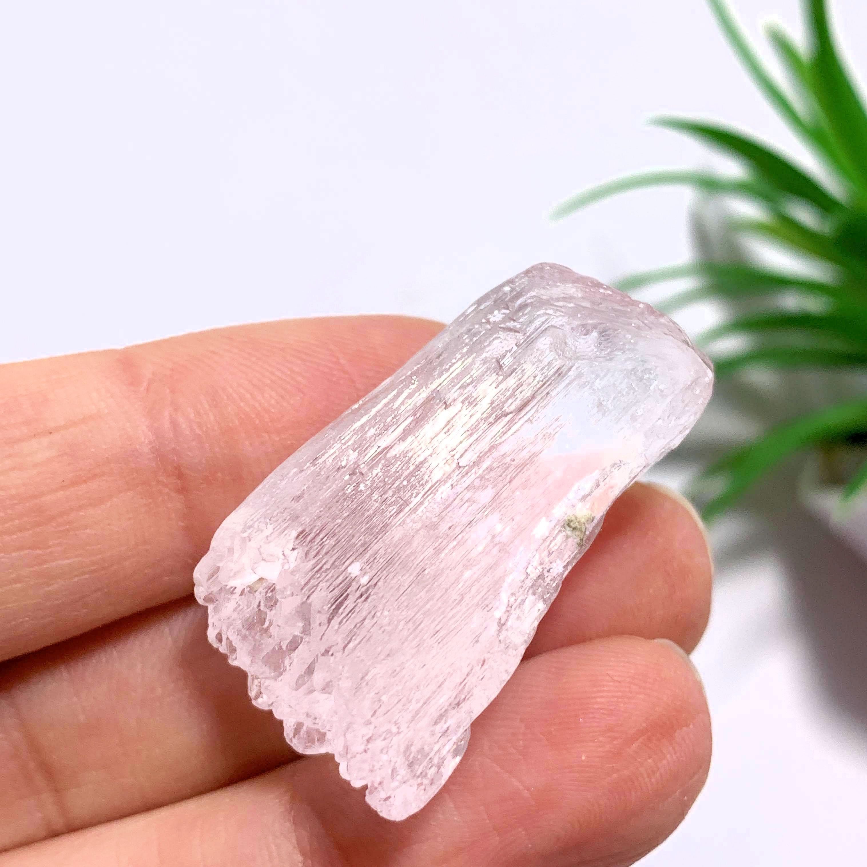 Pink Kunzite Terminated Points Specimen ~Locality Brazil - Earth Family Crystals