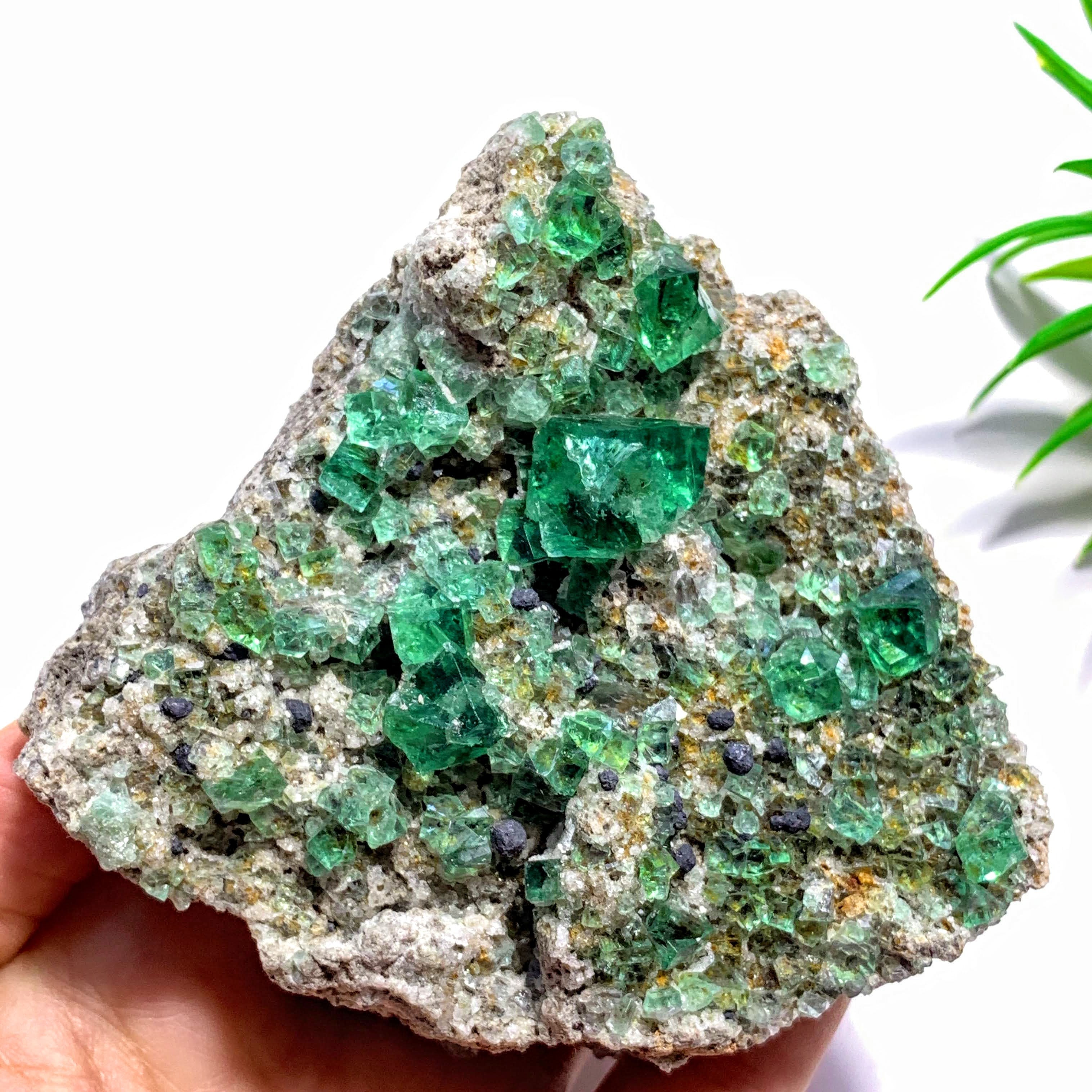 Rare Gemmy Green Cubic Fluorite From Famous Rogerley Mine, England - Earth Family Crystals