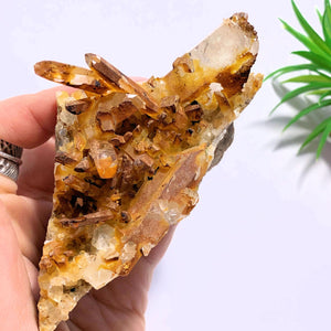 Natural Rainbow Mayanite Chunky Quartz Cluster From Arkansas - Earth Family Crystals