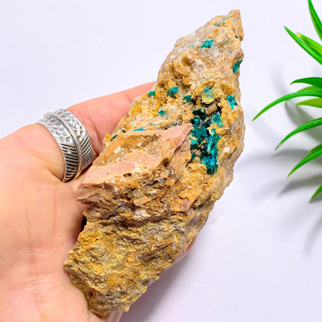 Emerald Green Raw Dioptase Crystals Nestled in Rock Matrix~Locality Namibia - Earth Family Crystals