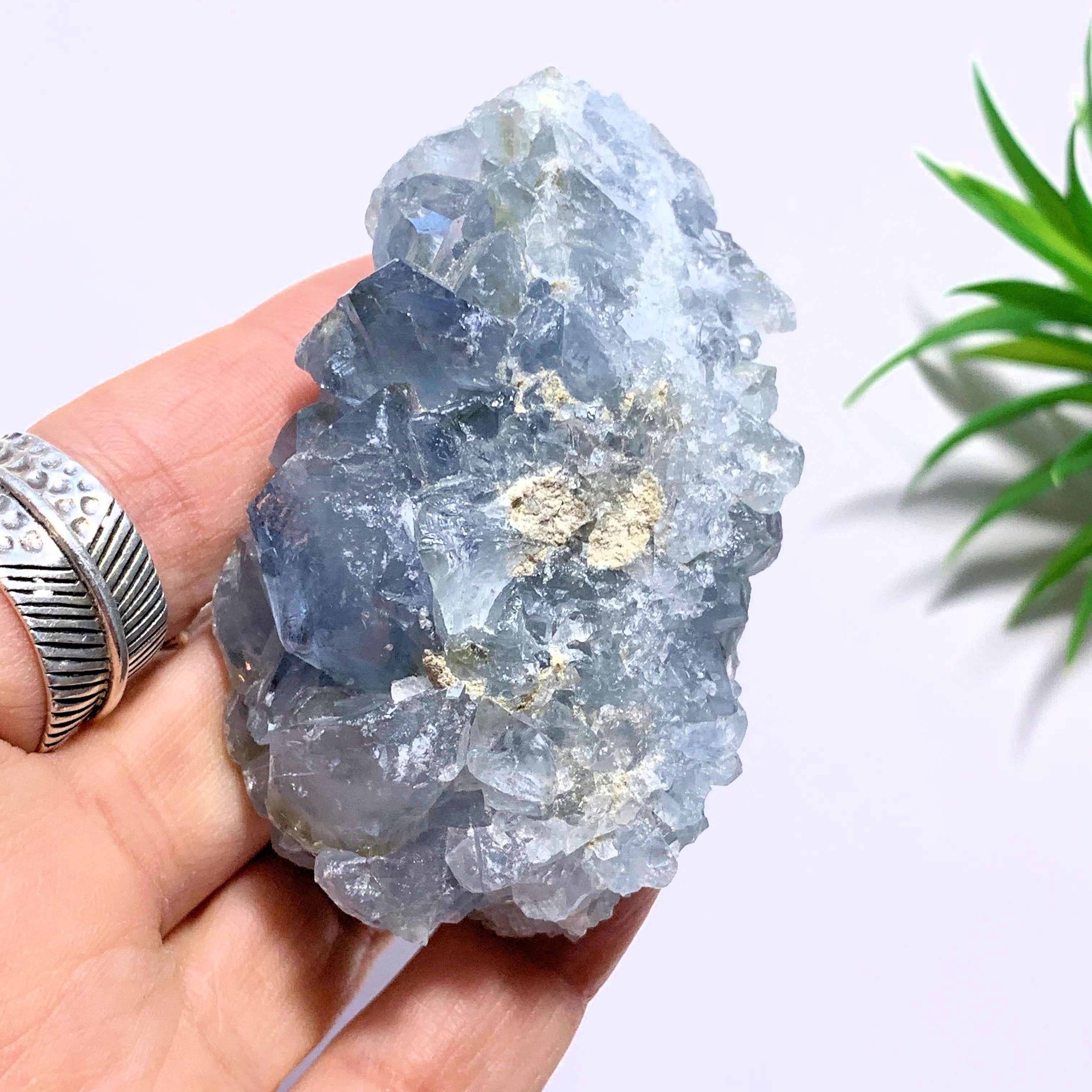Celestite Sweet Blue Specimen From Madagascar - Earth Family Crystals