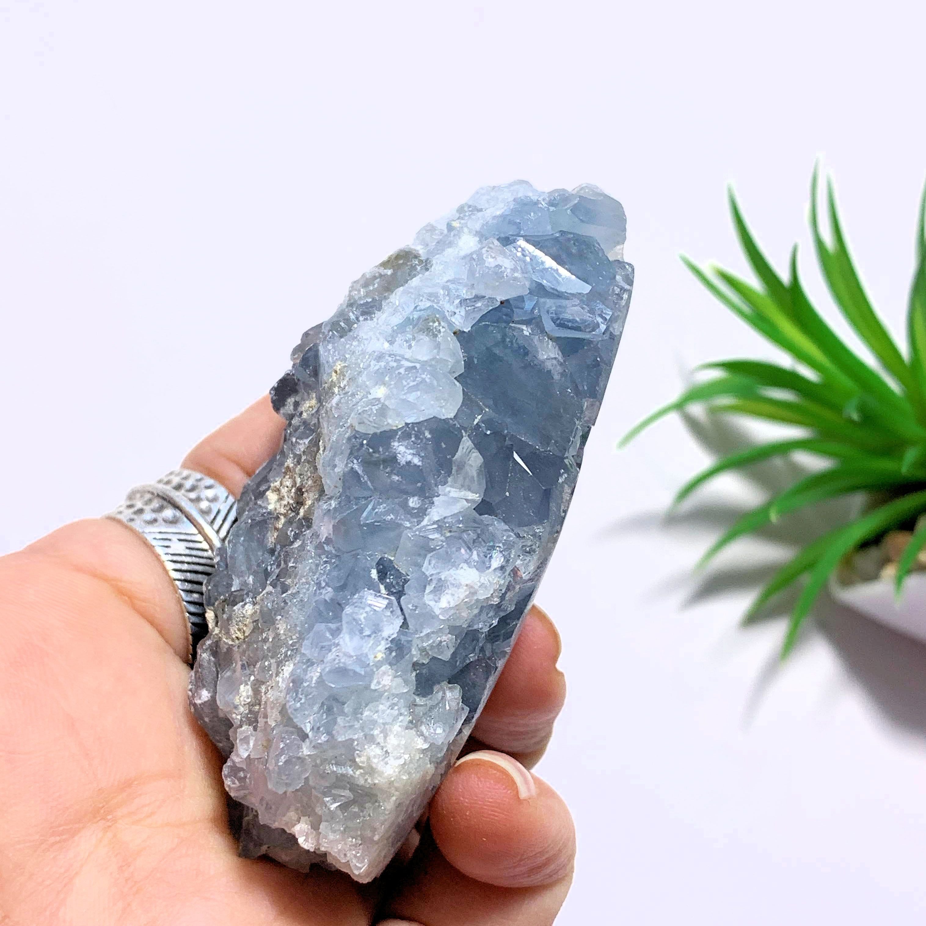 Celestite Sweet Blue Specimen From Madagascar - Earth Family Crystals