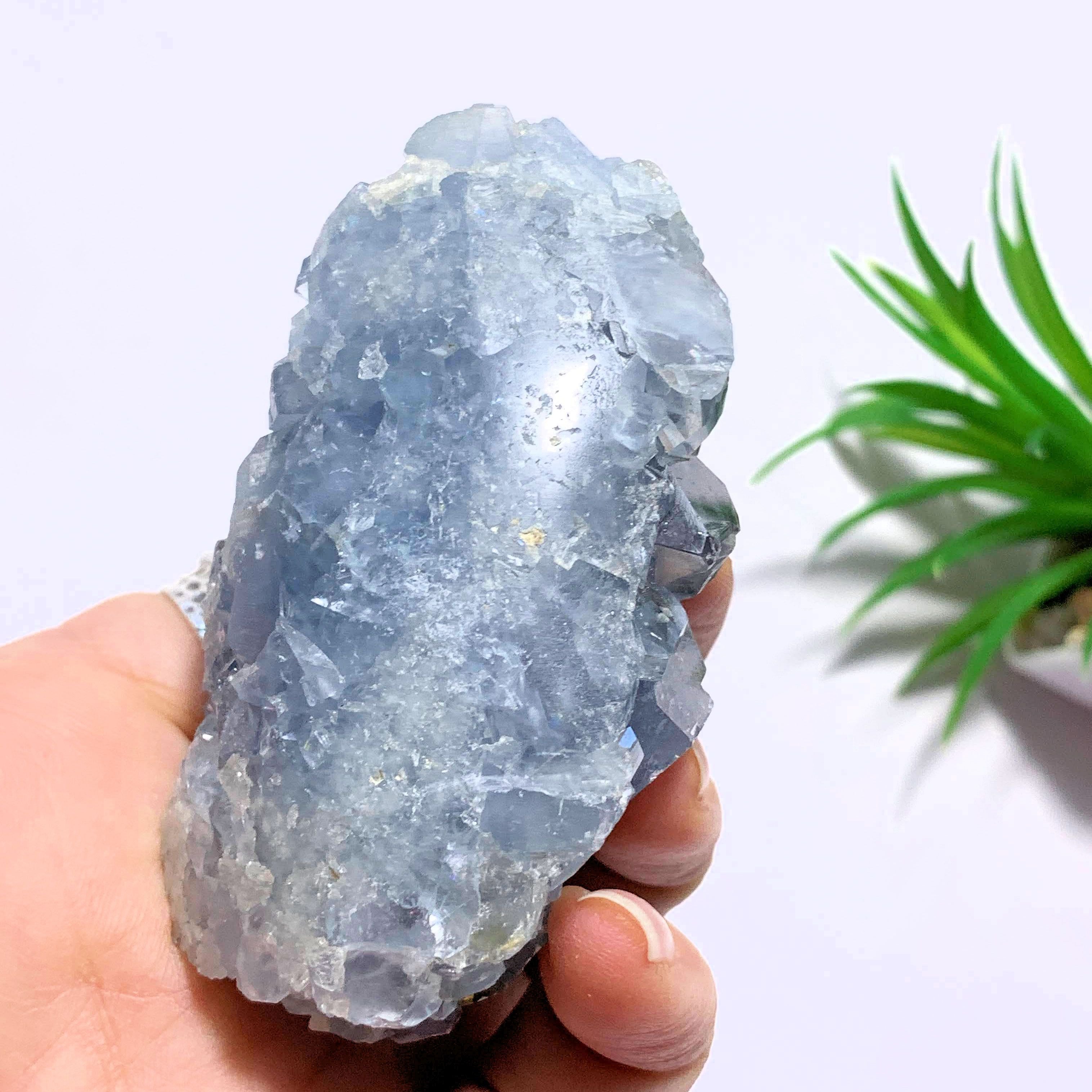 Celestite Sweet Blue Specimen From Madagascar - Earth Family Crystals