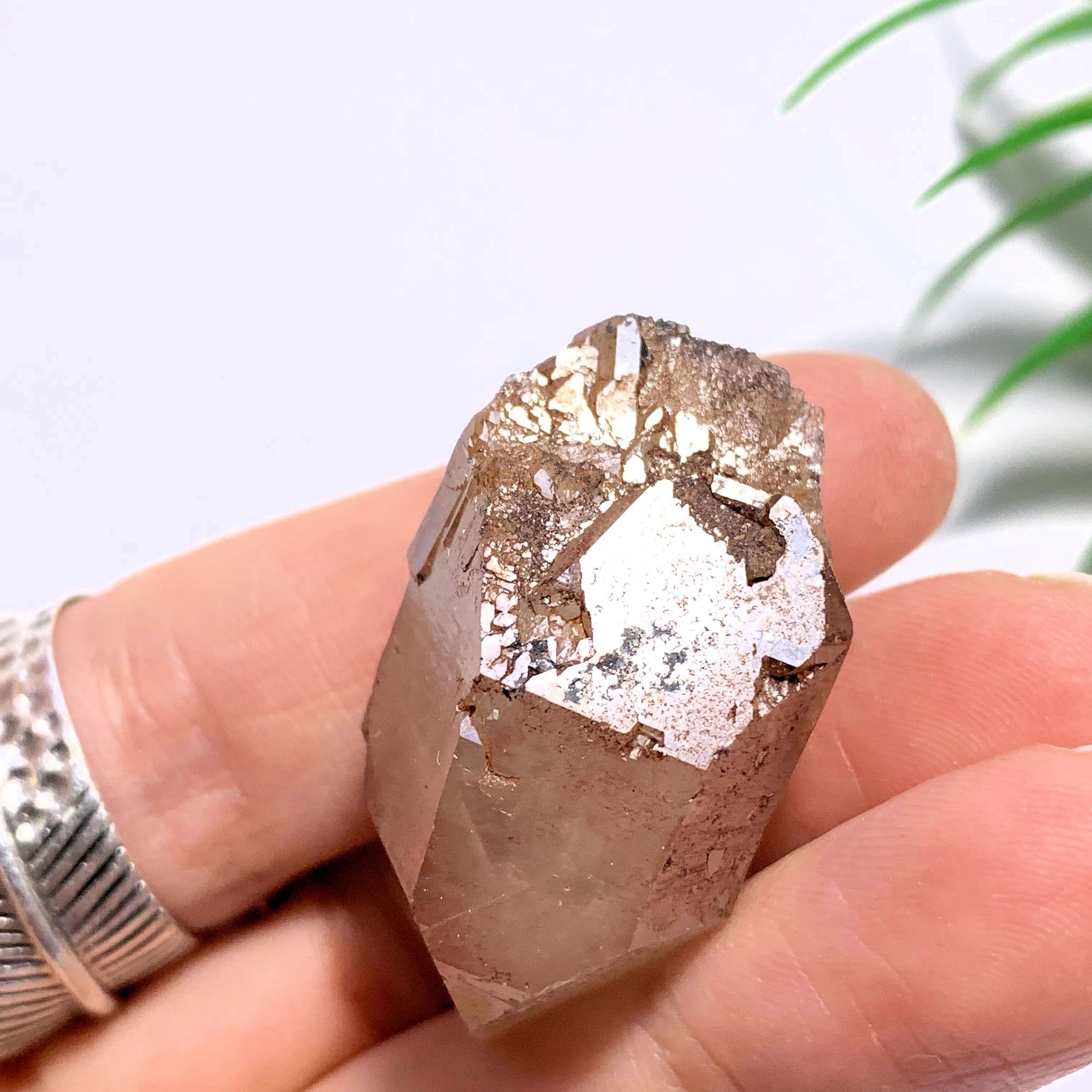 Double Terminated Elestial Orange River Quartz Point From South Africa #3 - Earth Family Crystals