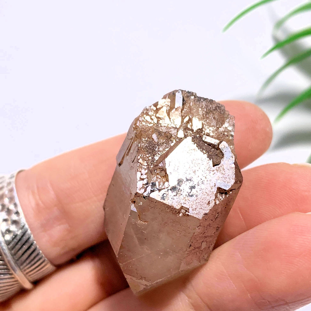 Double Terminated Elestial Orange River Quartz Point From South Africa #3 - Earth Family Crystals