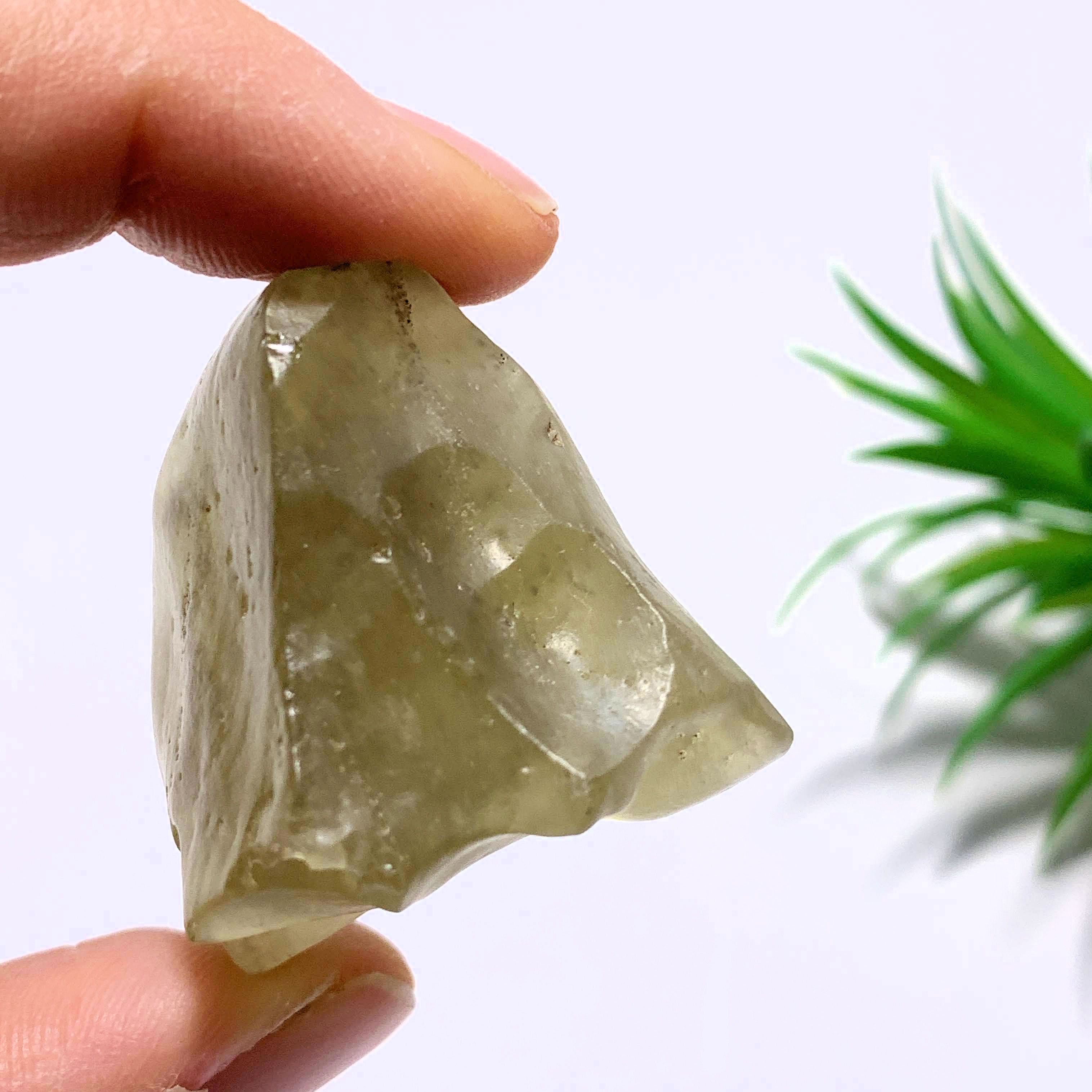 Genuine Ancient Golden Libyan Desert Glass Chunky Raw Specimen From Egypt - Earth Family Crystals