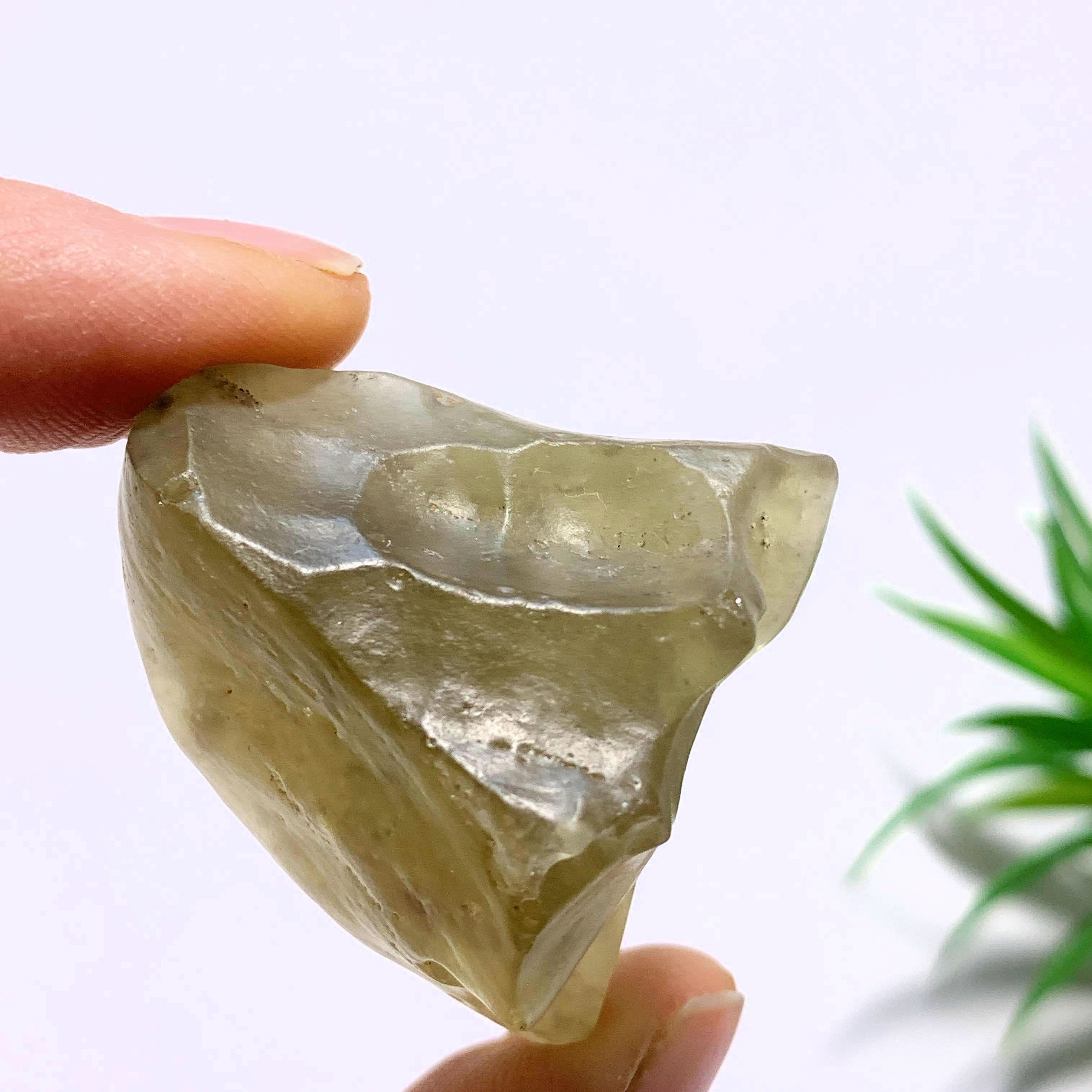 Genuine Ancient Golden Libyan Desert Glass Chunky Raw Specimen From Egypt - Earth Family Crystals