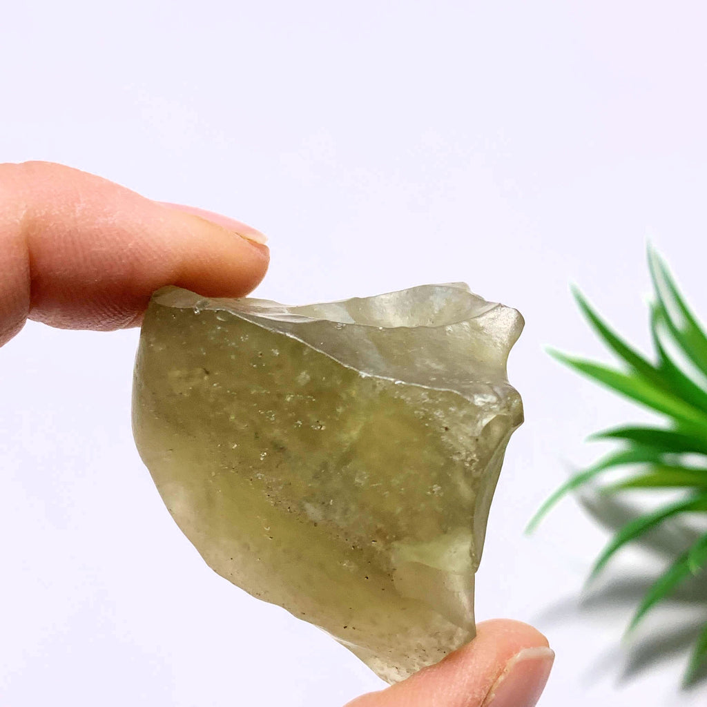 Genuine Ancient Golden Libyan Desert Glass Chunky Raw Specimen From Egypt - Earth Family Crystals