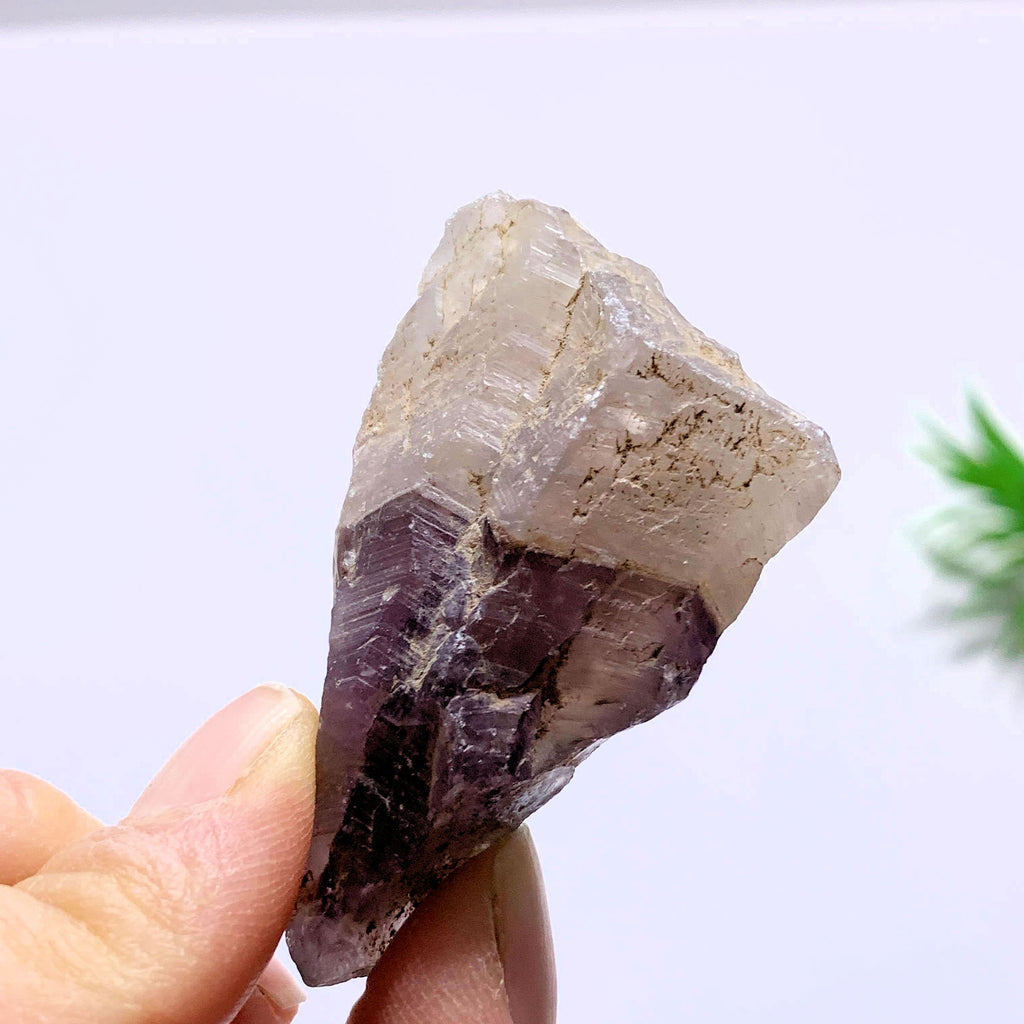Genuine Elestial Auralite-23 Handheld Point From Ontario, Canada - Earth Family Crystals
