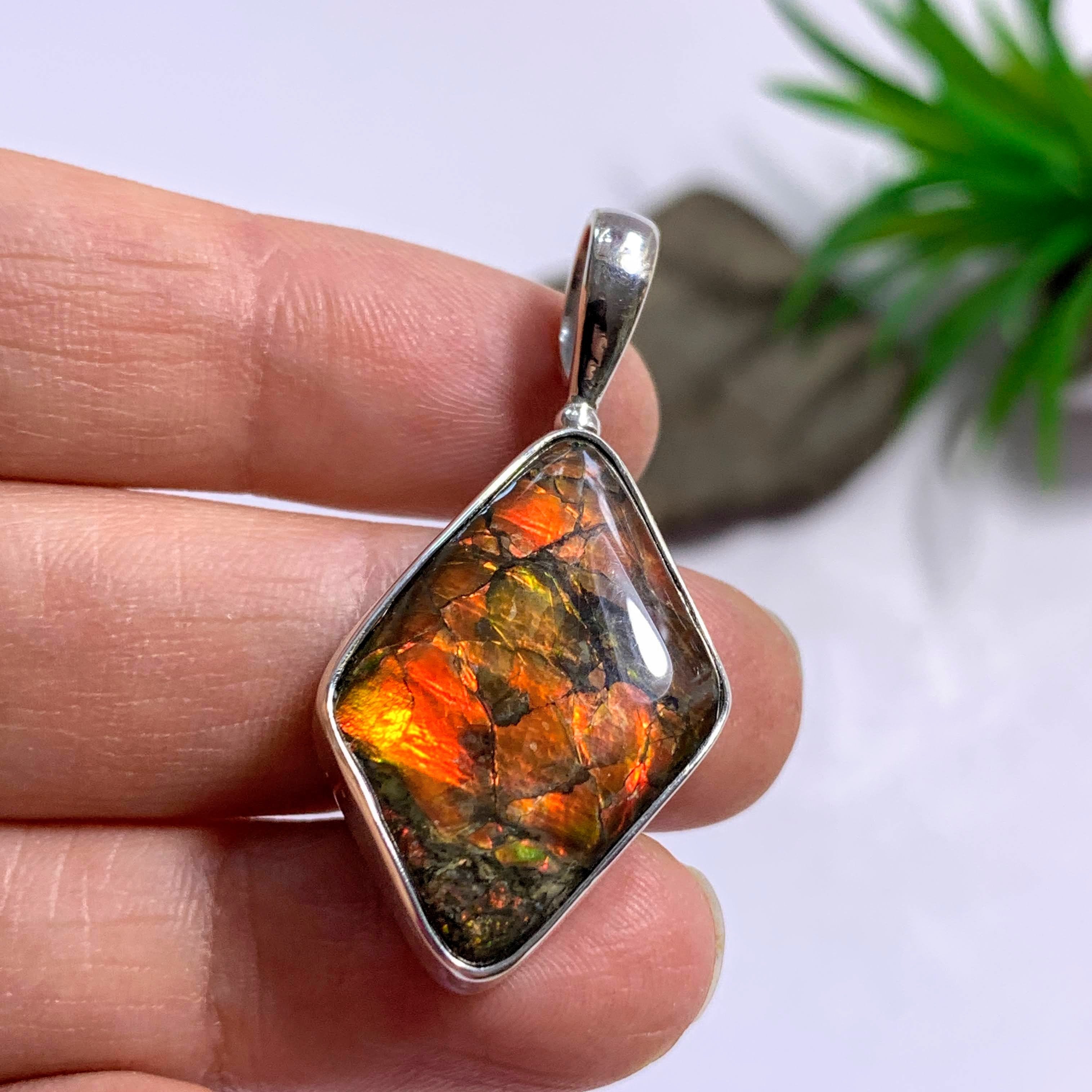 Lovely Genuine Alberta Ammolite Pendant in Sterling Silver (Includes Silver Chain) - Earth Family Crystals