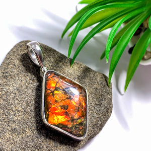 Lovely Genuine Alberta Ammolite Pendant in Sterling Silver (Includes Silver Chain) - Earth Family Crystals