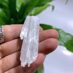 Scolecite Natural Point Specimen From India #1