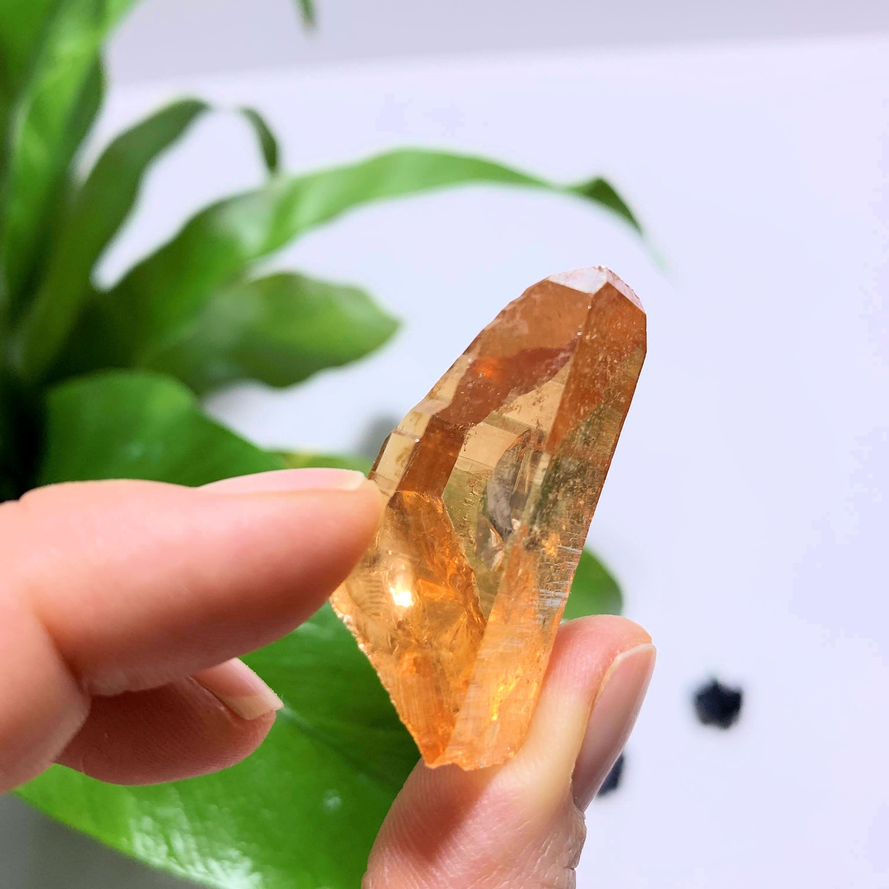 Fabulous Sunshine Aura Quartz Point~ Locality Arkansas