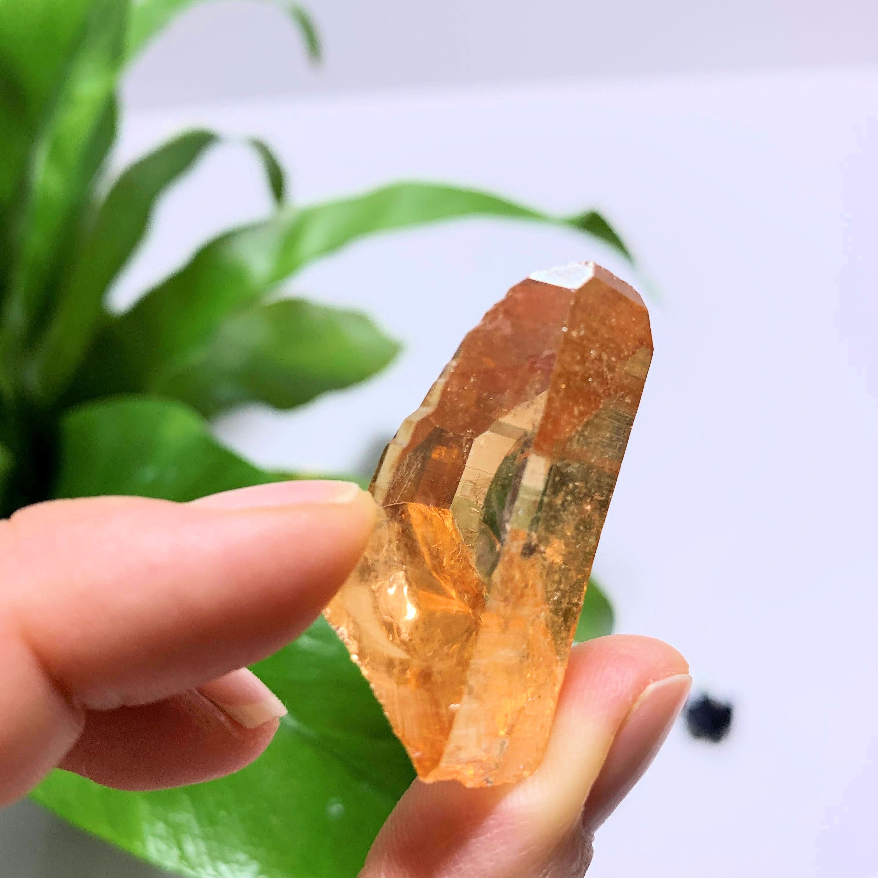 Fabulous Sunshine Aura Quartz Point~ Locality Arkansas
