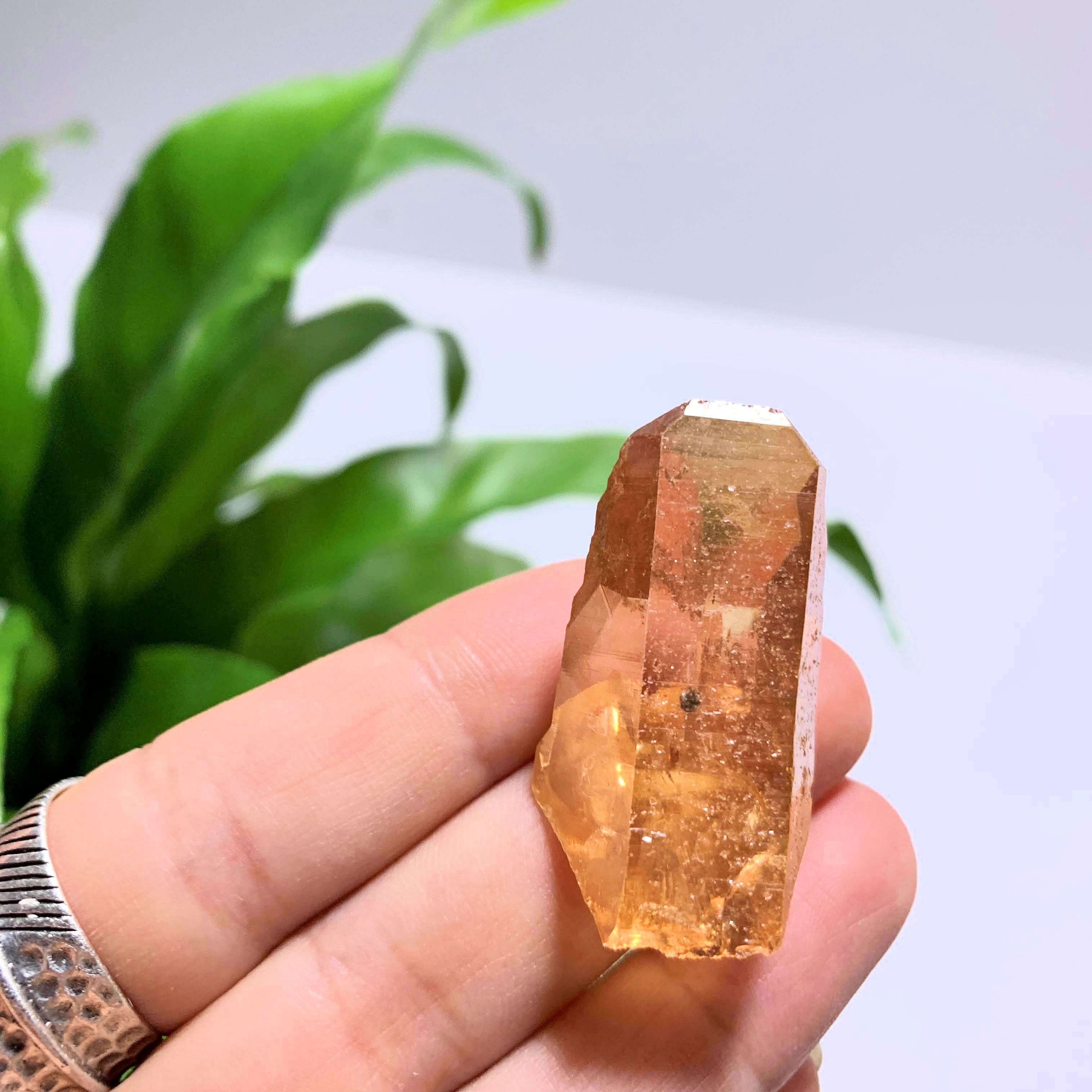 Fabulous Sunshine Aura Quartz Point~ Locality Arkansas