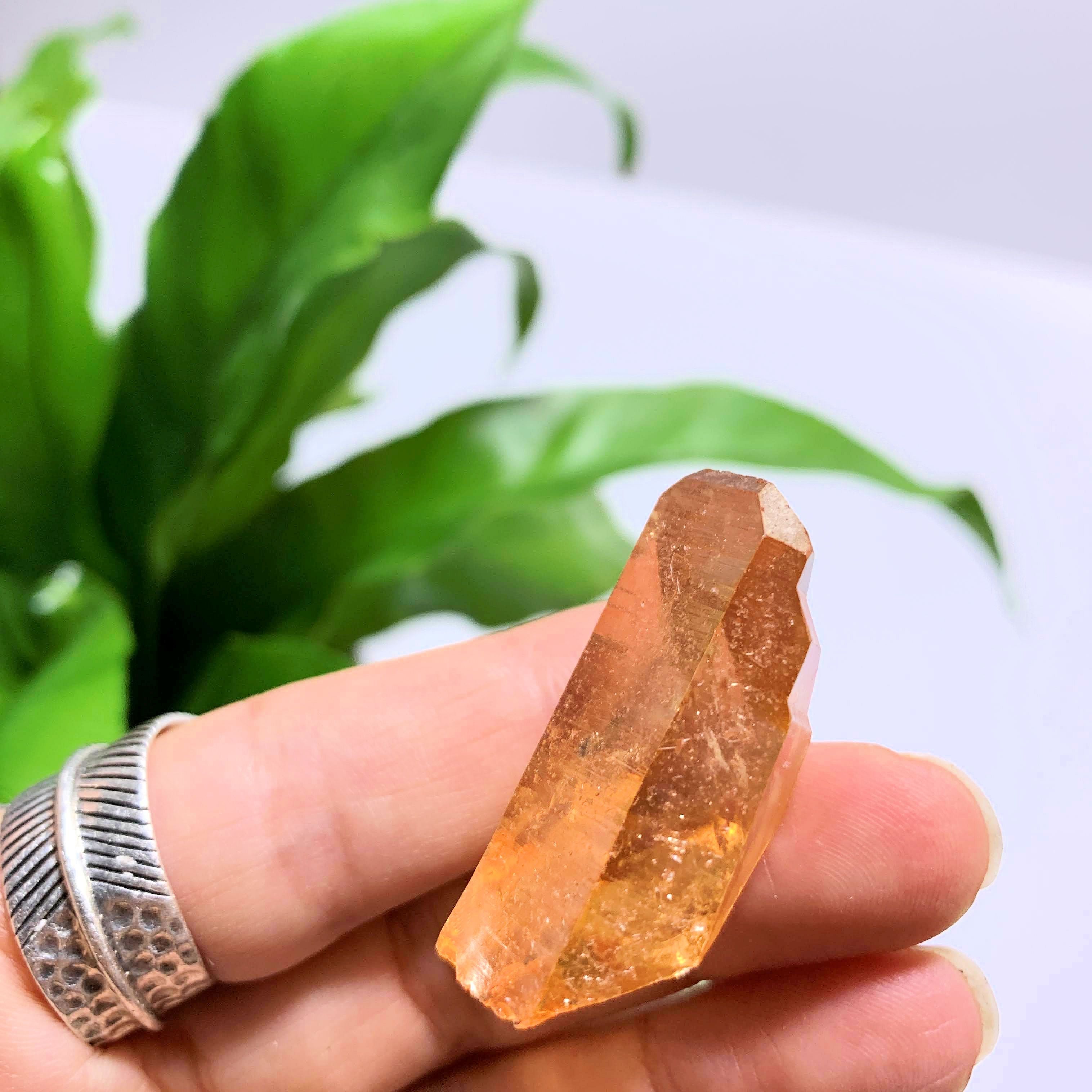 Fabulous Sunshine Aura Quartz Point~ Locality Arkansas