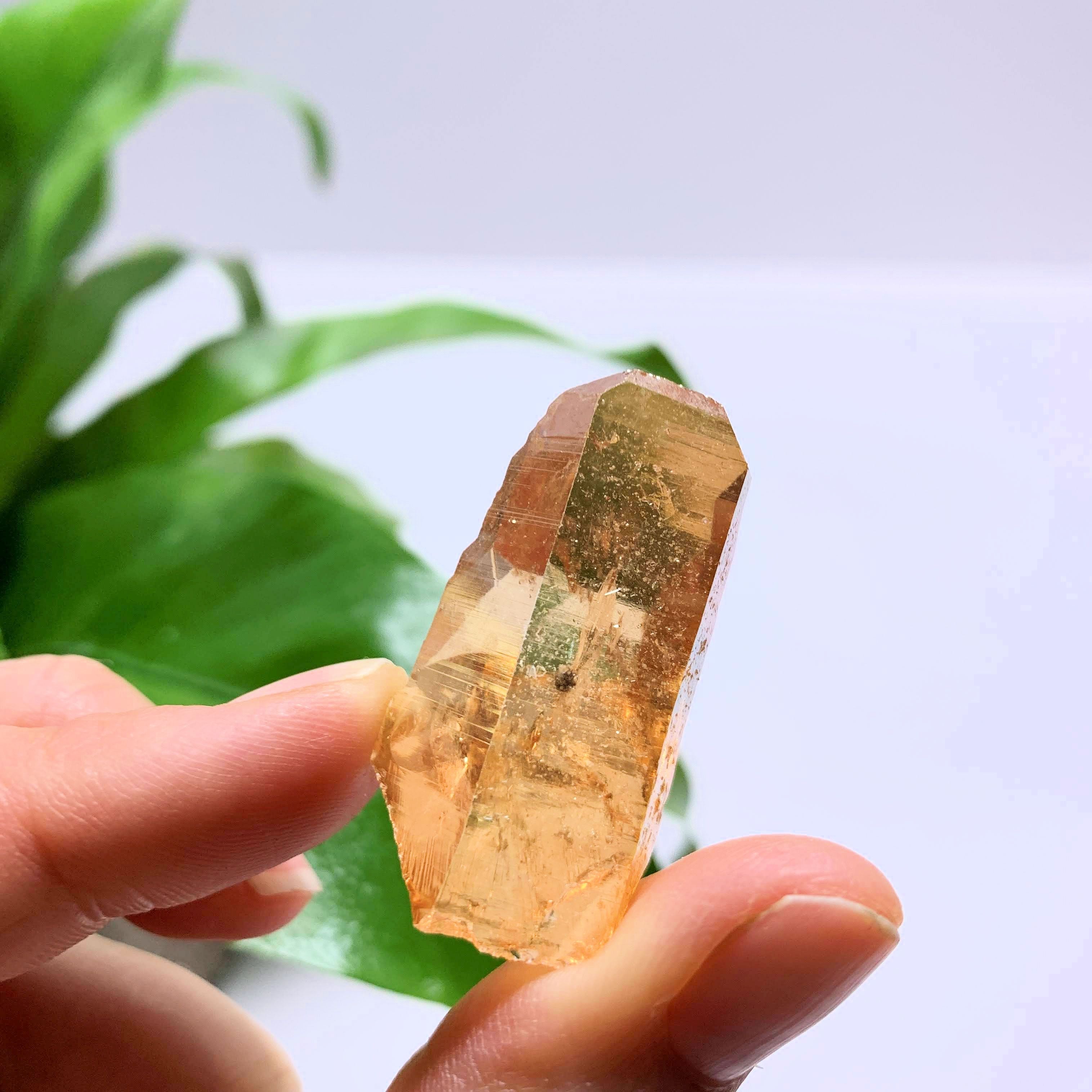 Fabulous Sunshine Aura Quartz Point~ Locality Arkansas