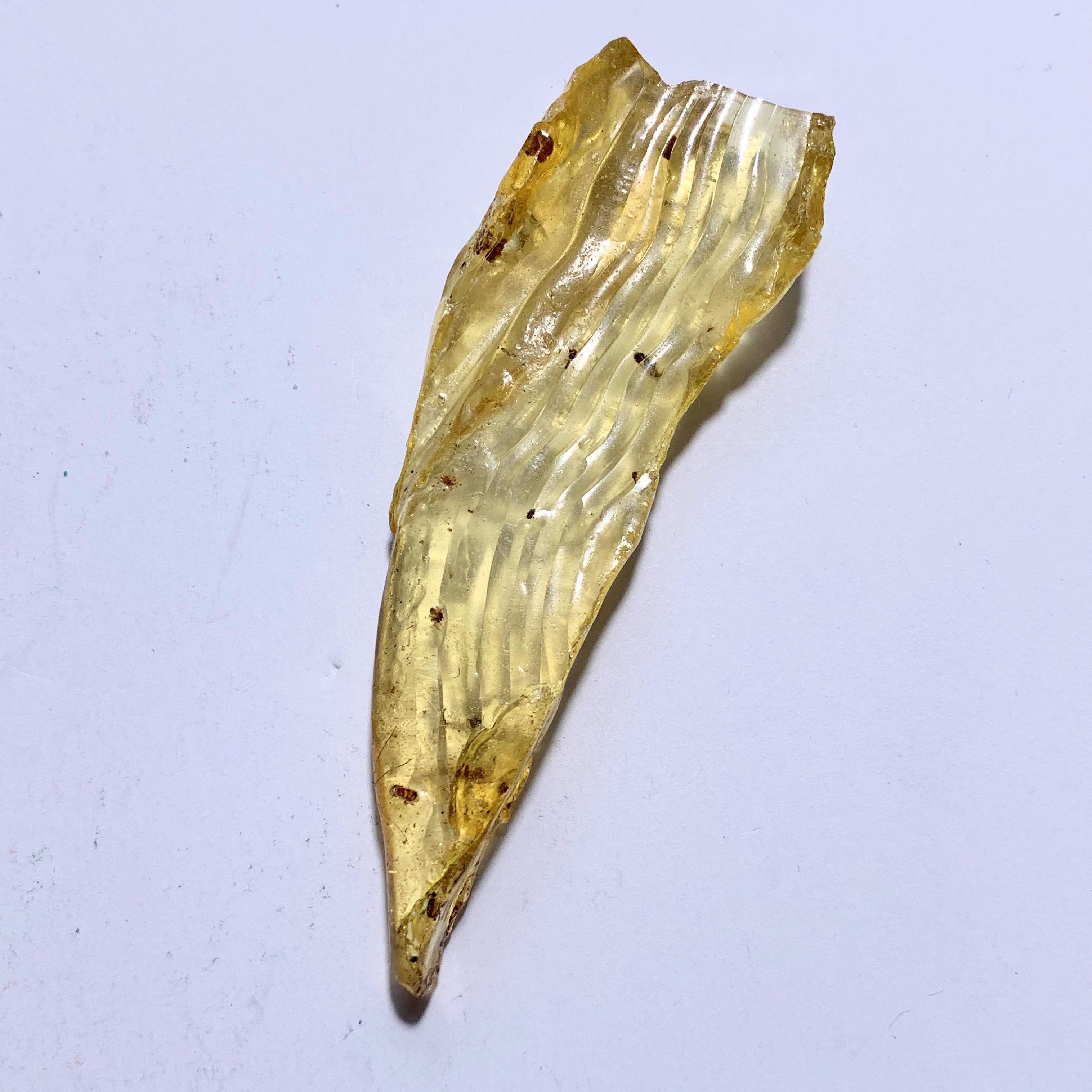 Ancient Bug Included Golden Amber Copal From Colombia