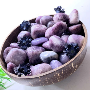 Set of 4 ~Lilac Lepidolite Tumbled Stones From Brazil~Ideal for Crystal Grids!