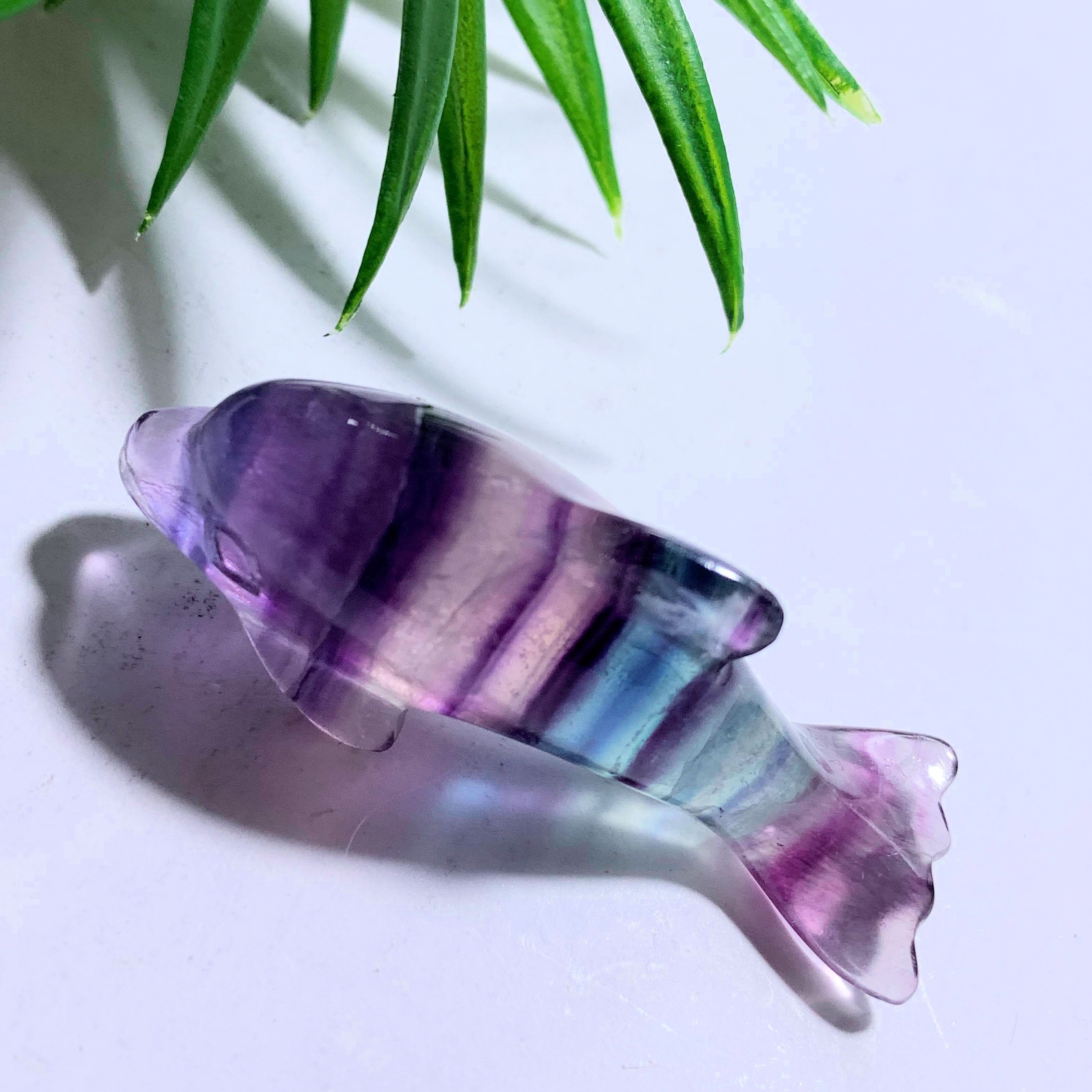 Adorable Rainbow Fluorite Dolphin Carving