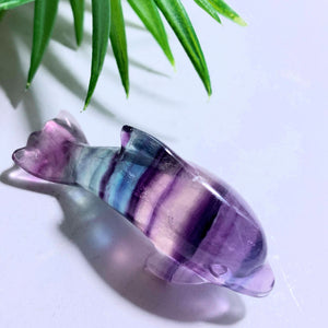 Adorable Rainbow Fluorite Dolphin Carving