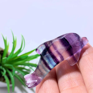 Adorable Rainbow Fluorite Dolphin Carving