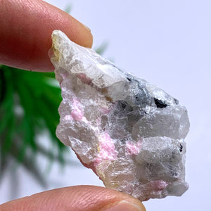 Tugtupite & White Natrolite Rare Collectors Specimen From Greenland