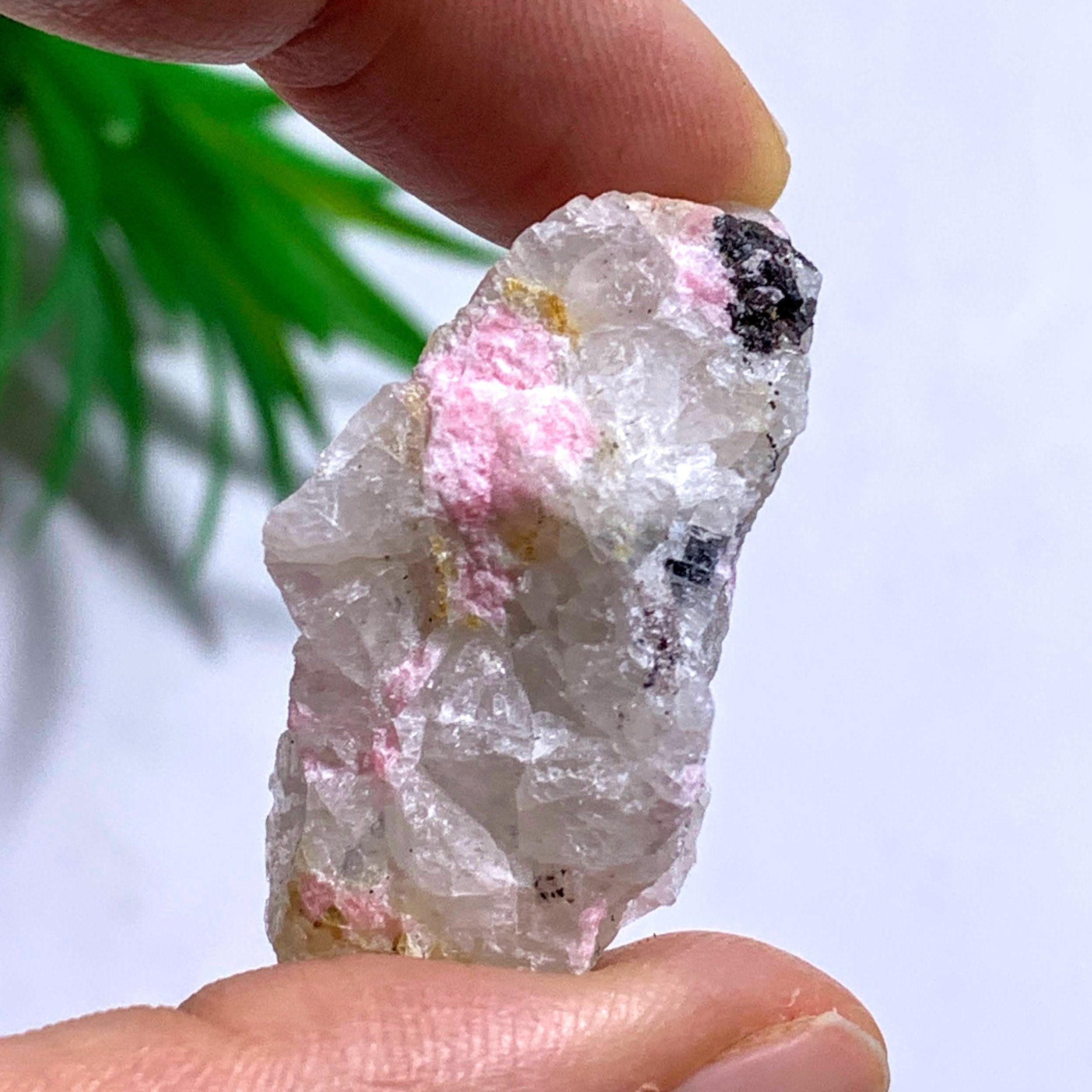 Tugtupite & White Natrolite Rare Collectors Specimen From Greenland