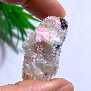 Tugtupite & White Natrolite Rare Collectors Specimen From Greenland