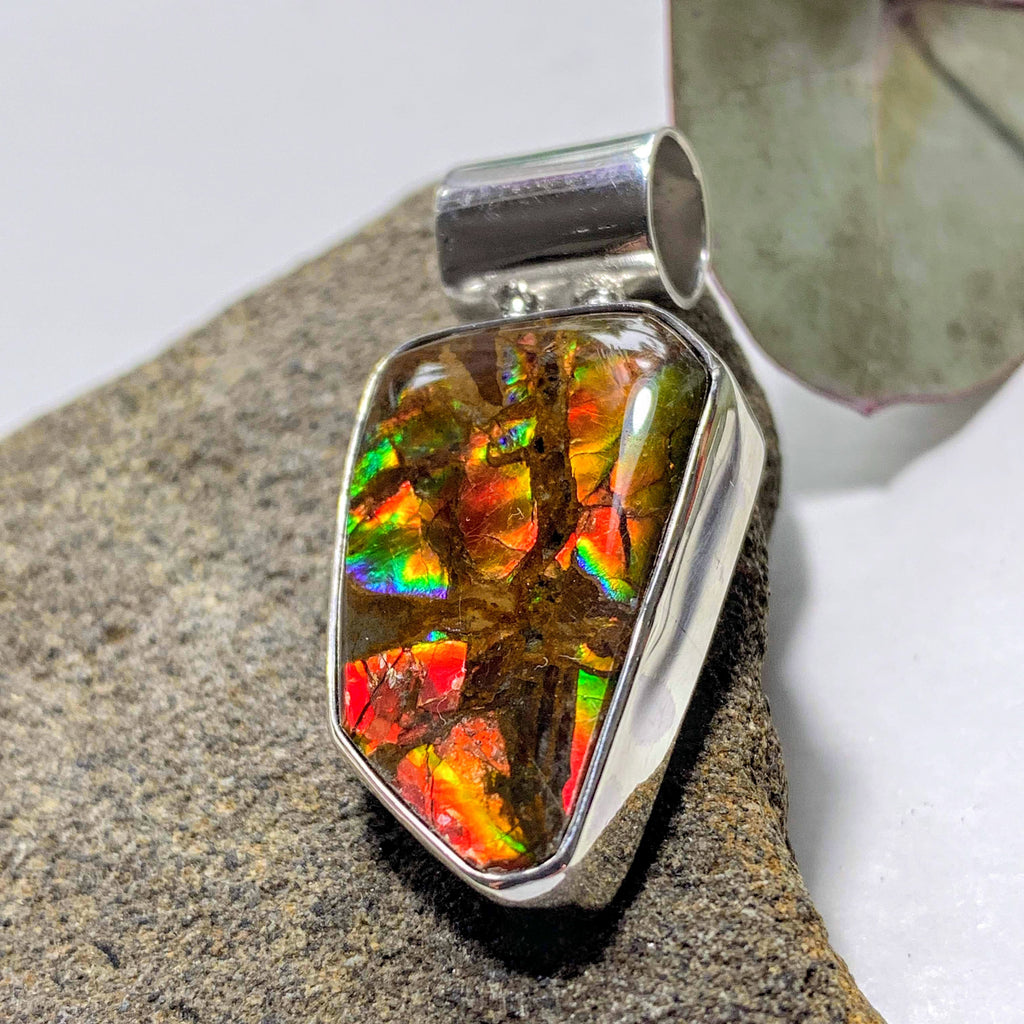 Gorgeous Flashy Genuine Alberta Ammolite Pendant in Sterling Silver (Includes Silver Chain) #6 - Earth Family Crystals