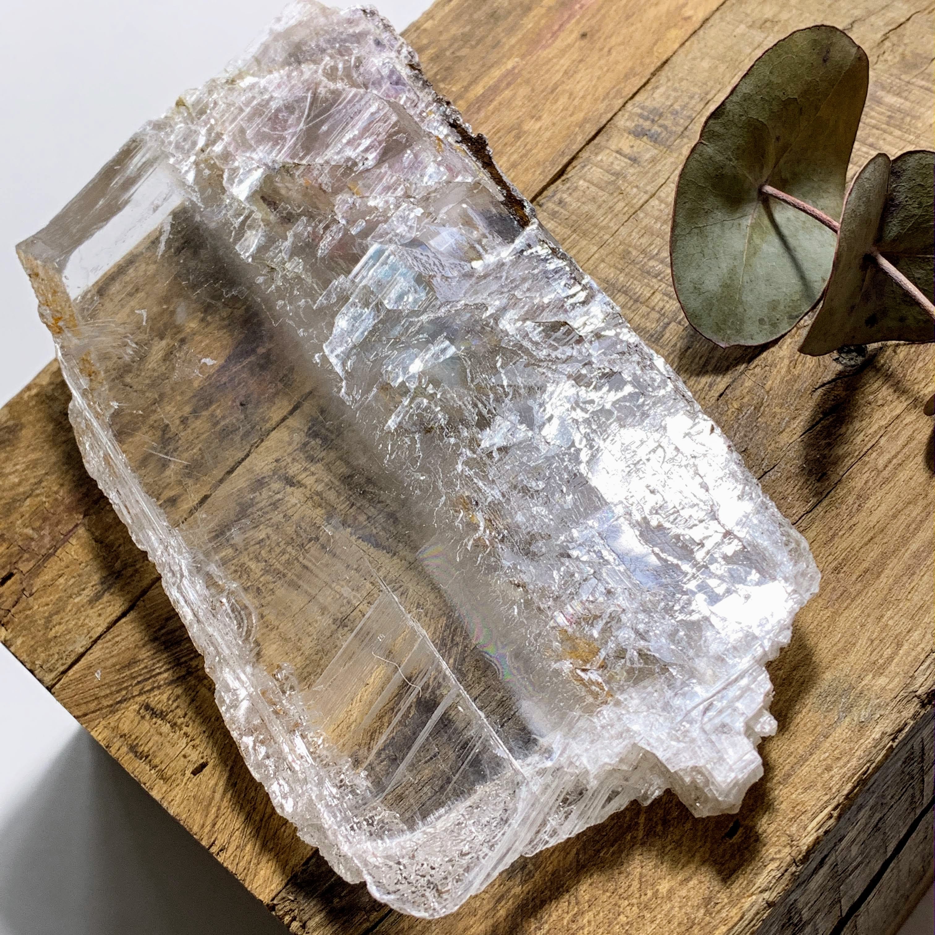 Rare Locality~Greek Optical High Shine Selenite Raw Free Form Specimen #1 - Earth Family Crystals