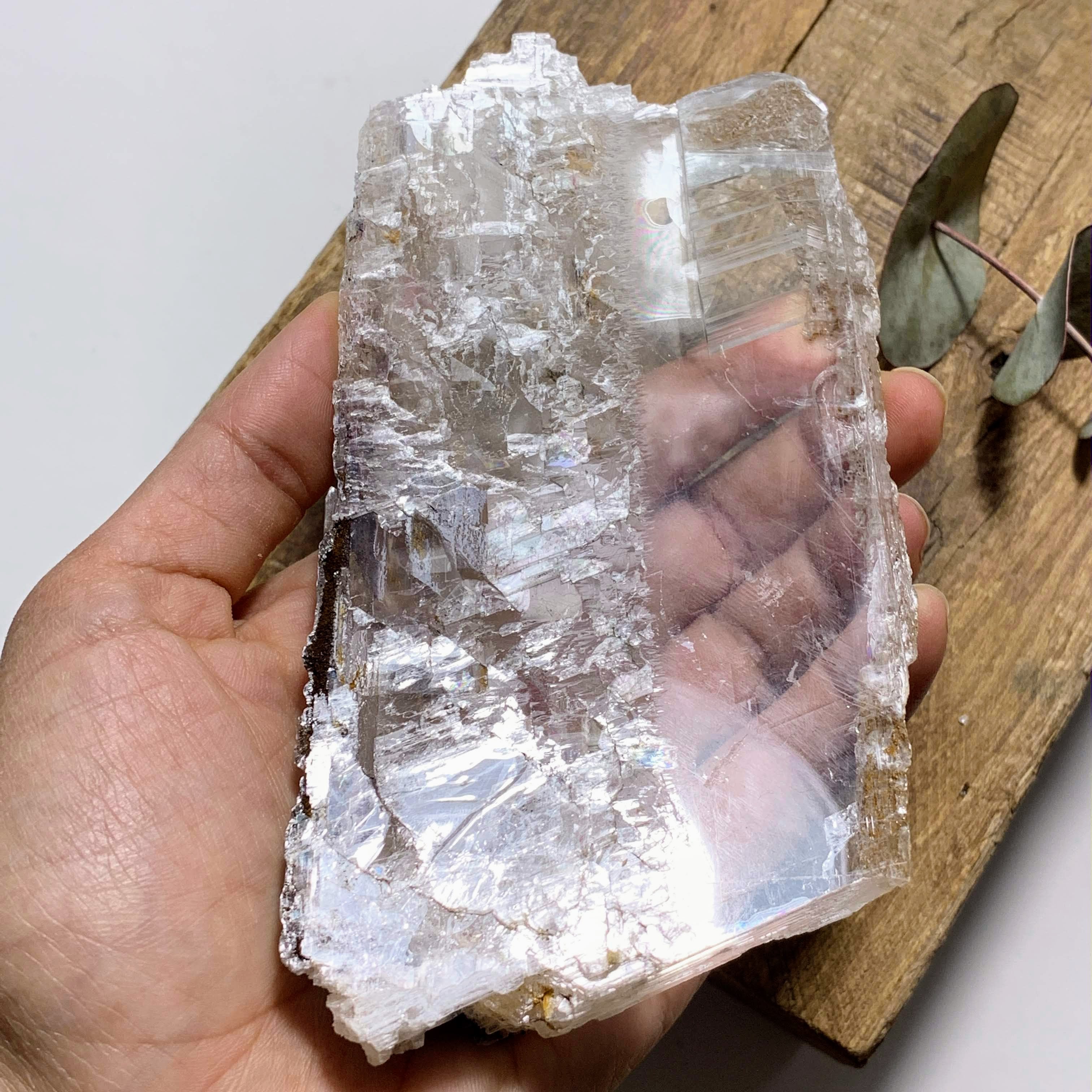 Rare Locality~Greek Optical High Shine Selenite Raw Free Form Specimen #1 - Earth Family Crystals